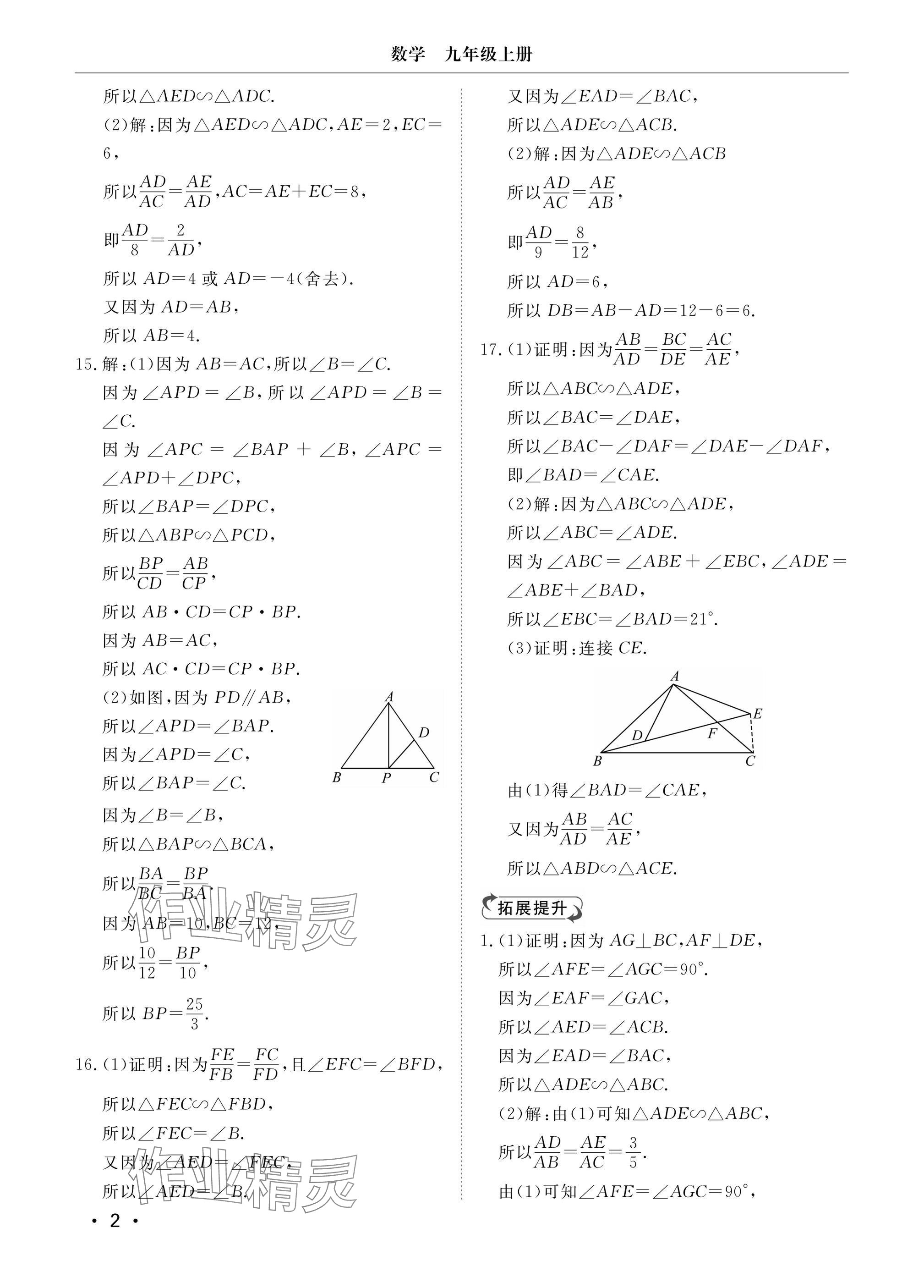 2024年行知天下九年級(jí)數(shù)學(xué)上冊(cè)青島版 參考答案第2頁(yè)