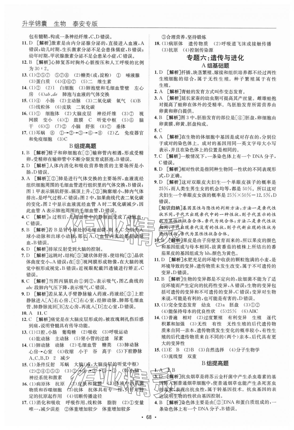 2024年升學(xué)錦囊生物泰安專版 參考答案第4頁(yè)