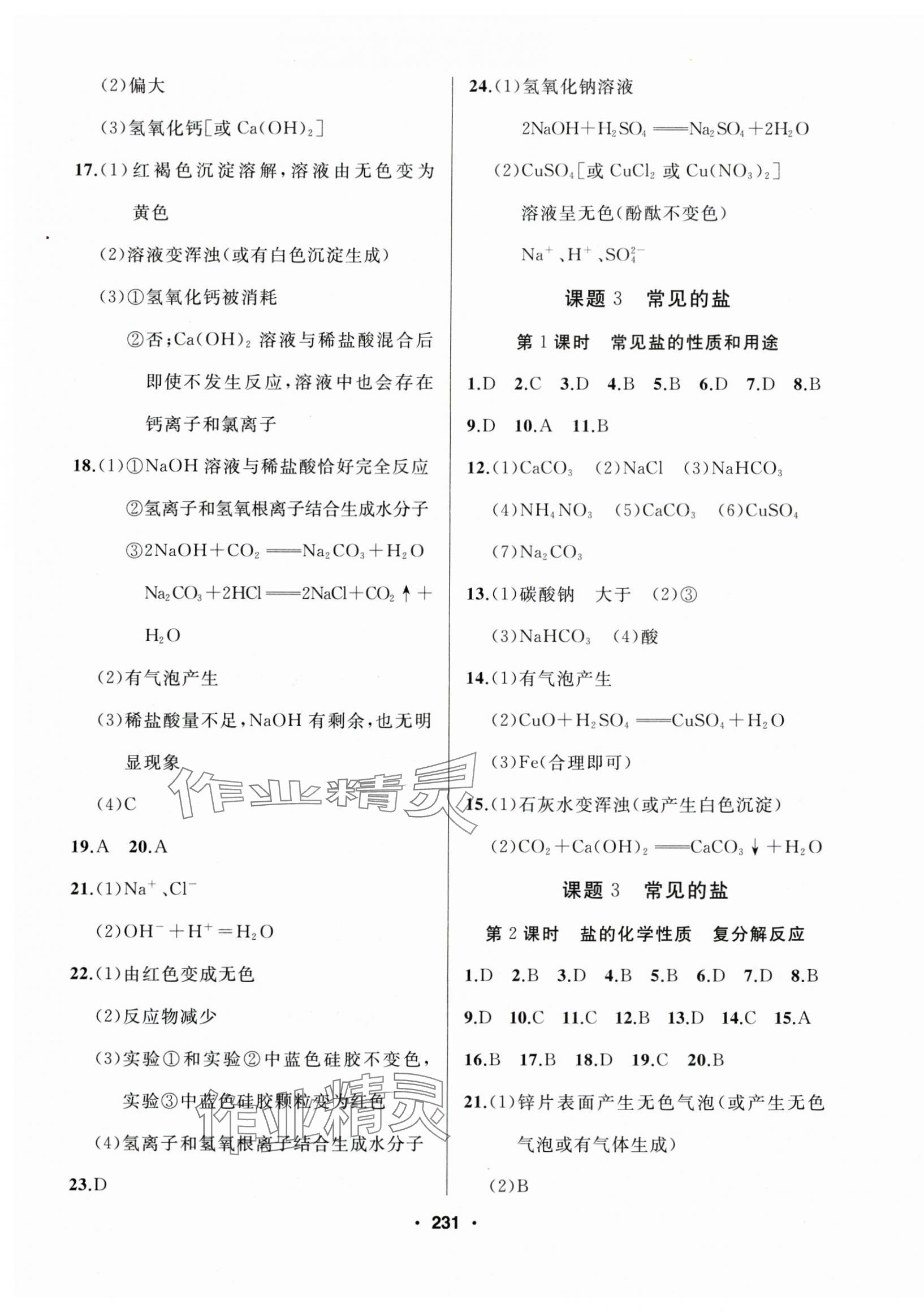 2025年試題優(yōu)化課堂同步九年級(jí)化學(xué)下冊(cè)人教版 第9頁