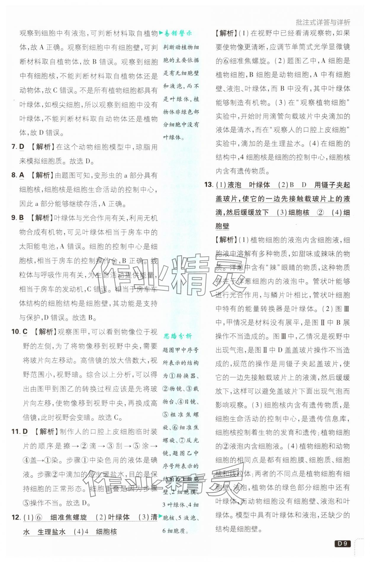 2025年初中必刷題七年級生物上冊蘇教版 第9頁