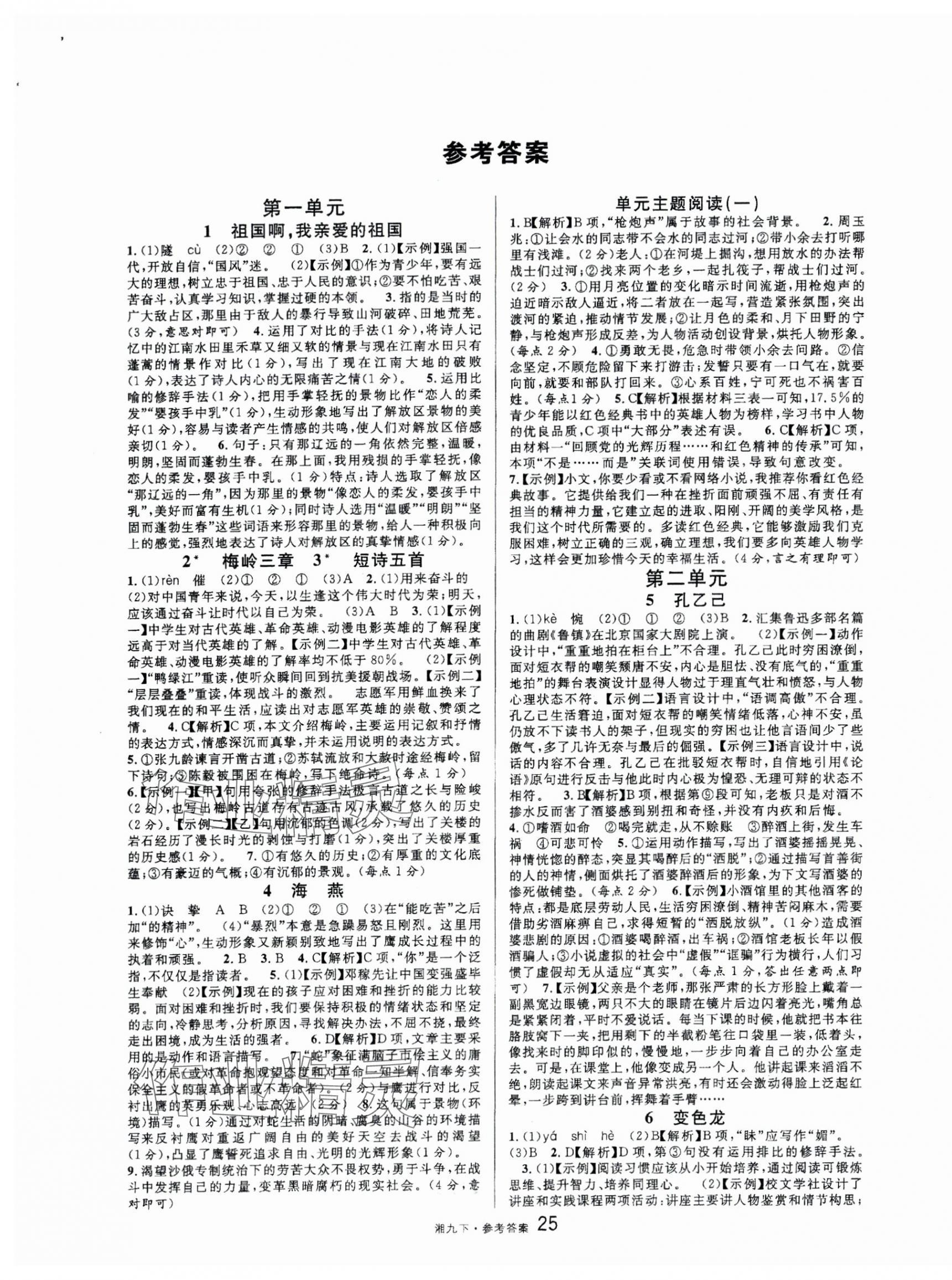 2025年名校課堂九年級(jí)語文下冊(cè)人教版湖南專版 第1頁