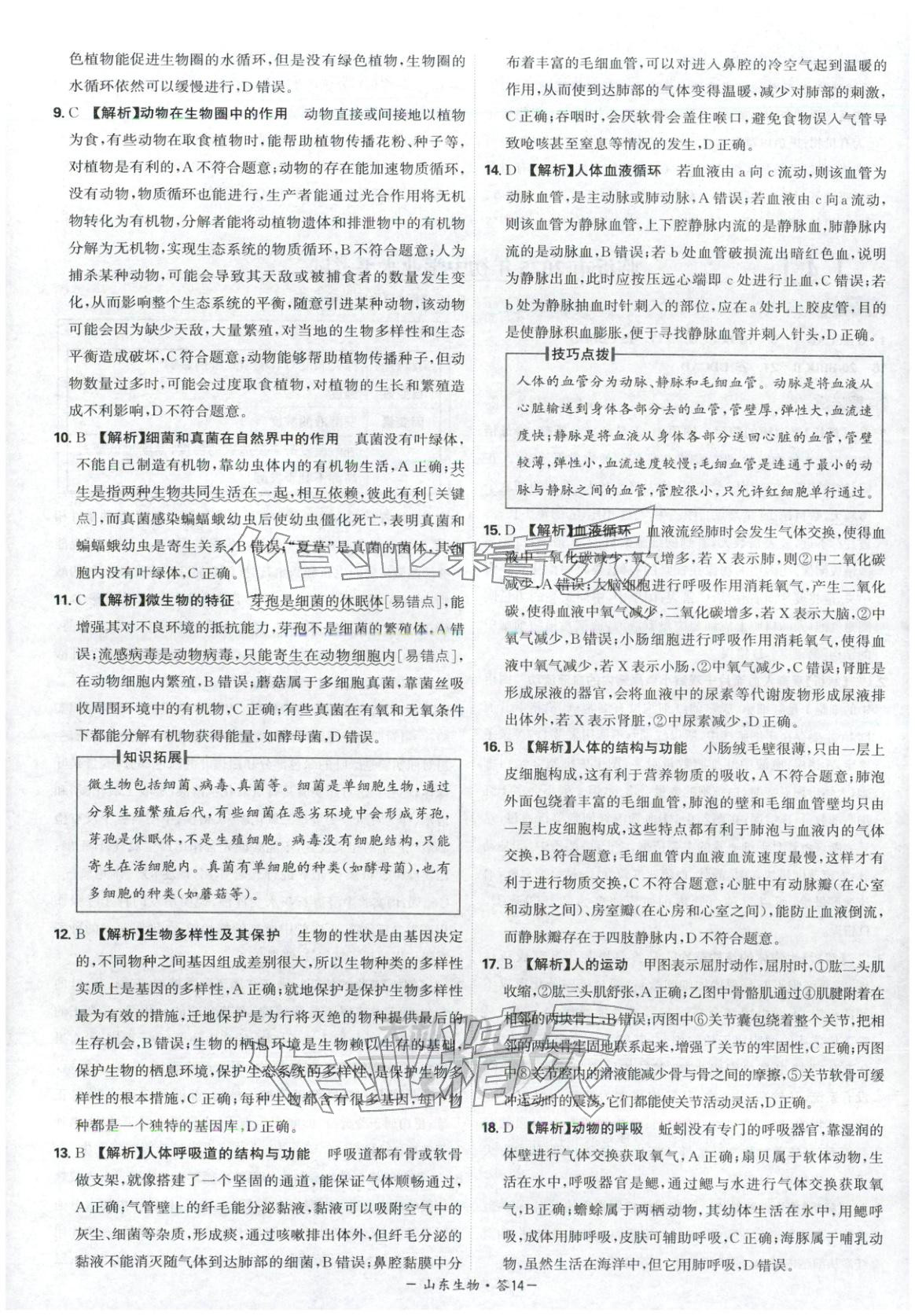 2026年天利38套中考試題精選八年級(jí)生物山東專(zhuān)版 第14頁(yè)