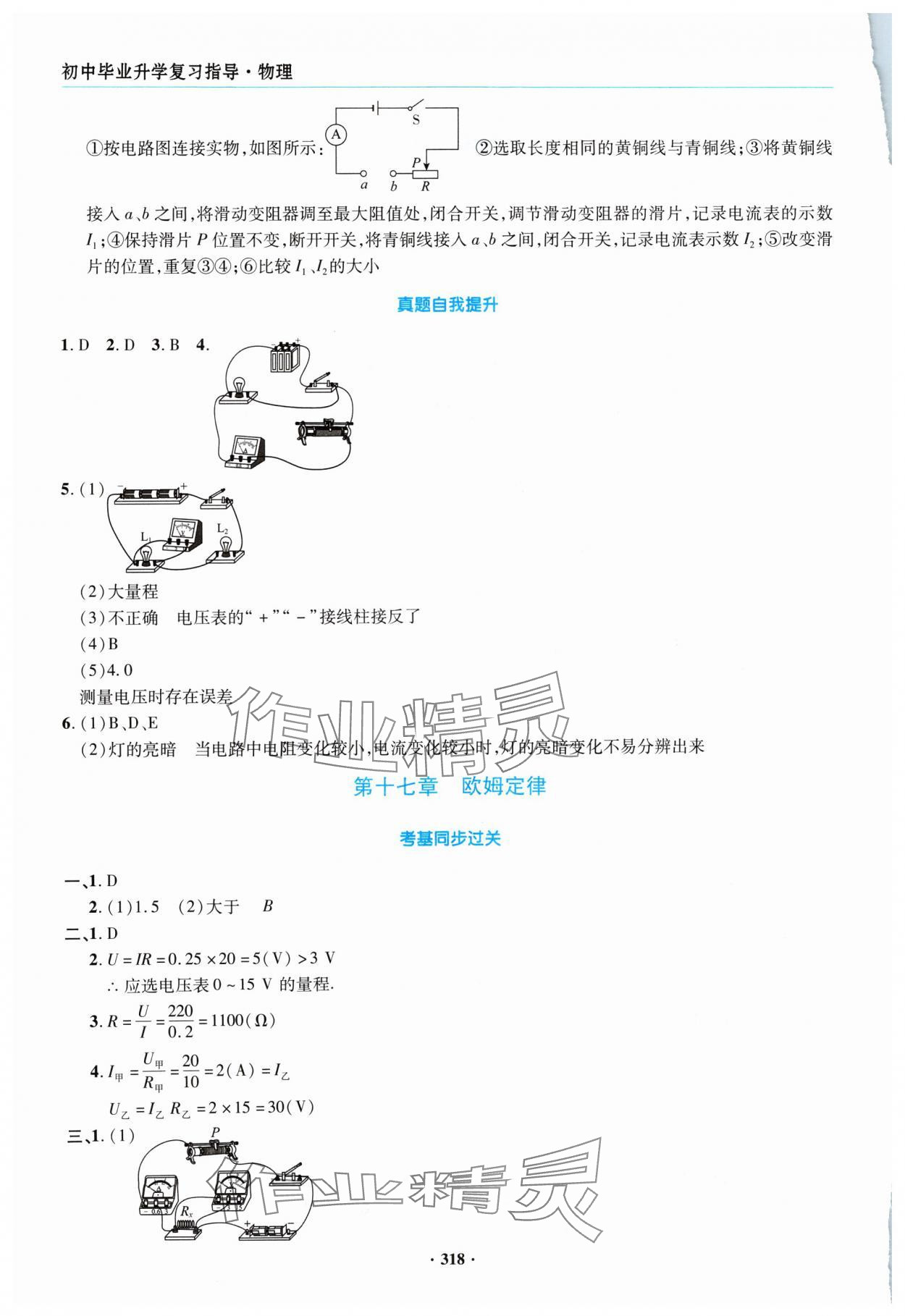 2024年初中畢業(yè)升學(xué)復(fù)習(xí)指導(dǎo)物理 參考答案第17頁(yè)