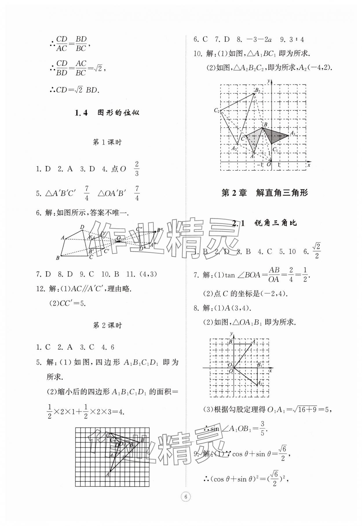 2025年同步练习册智慧拓展九年级数学上册青岛版菏泽专版&nbsp;第6页