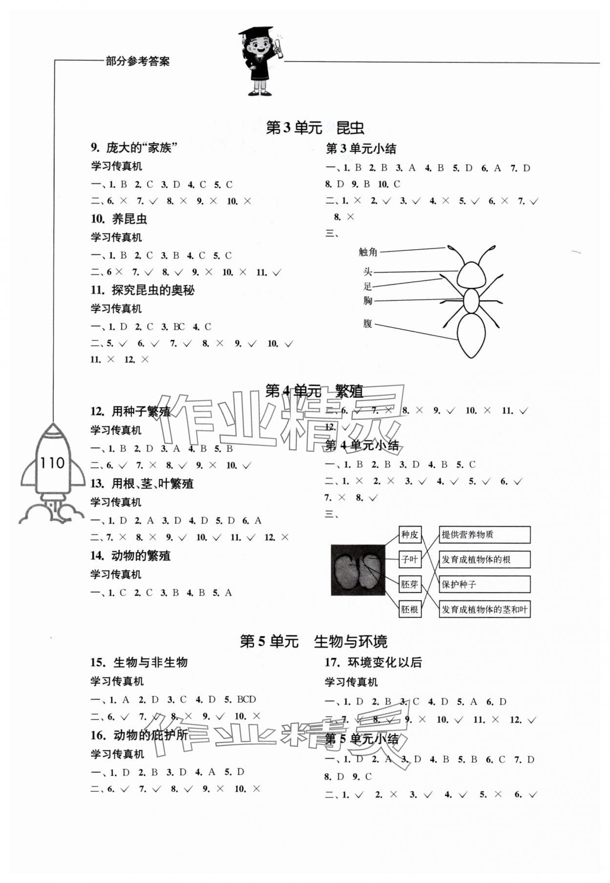 2024年小学科学习作四年级科学下册苏教版 参考答案第2页