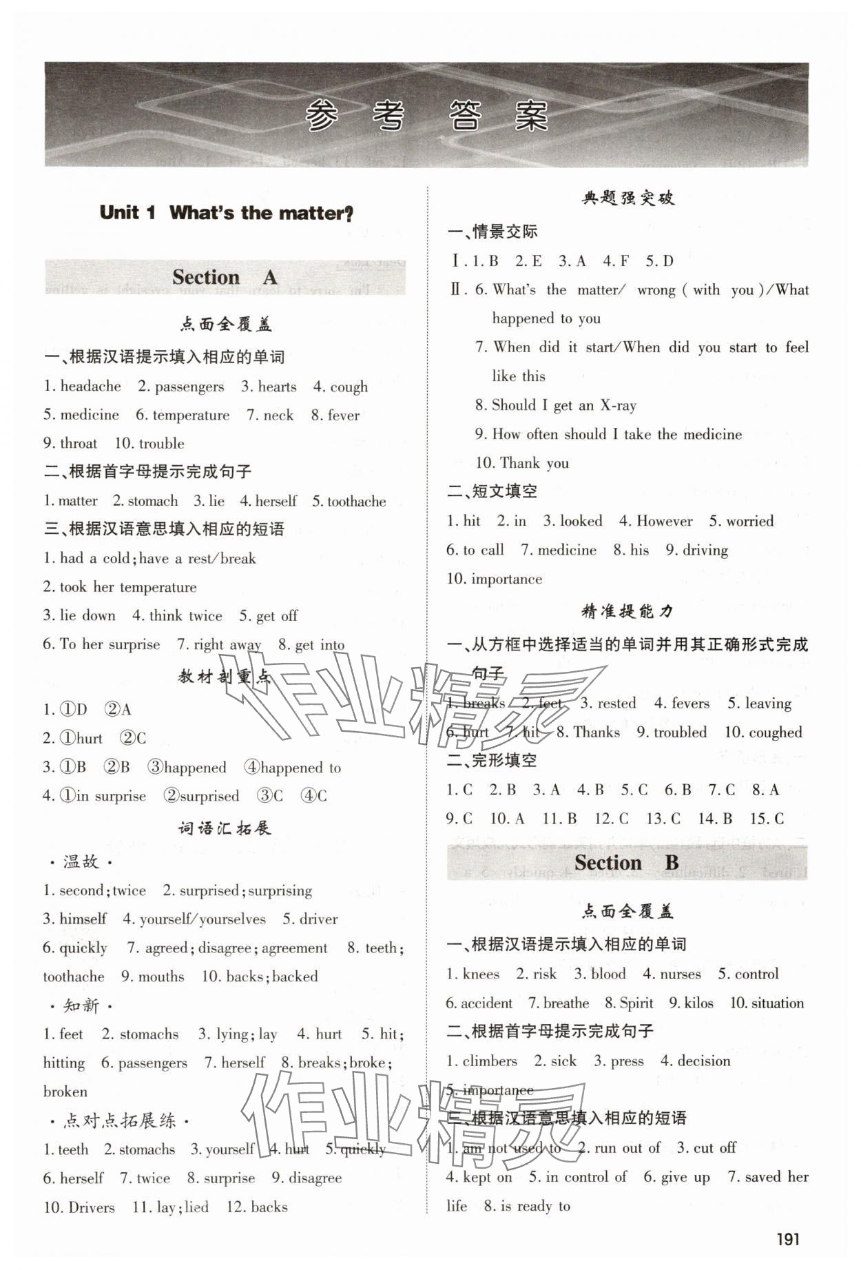 2025年直擊中考八年級英語下冊人教版內蒙古大學出版社 參考答案第1頁
