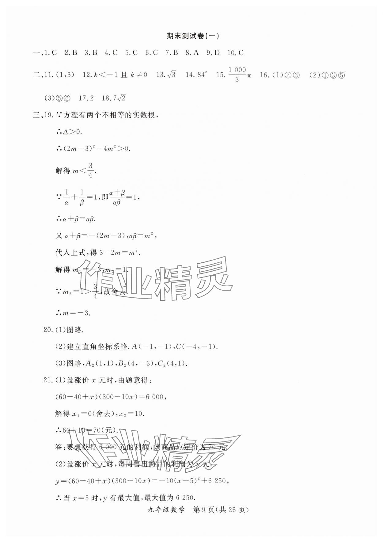 2025年寒假作業(yè)延邊教育出版社九年級合訂本人教版B版河南專版 第9頁