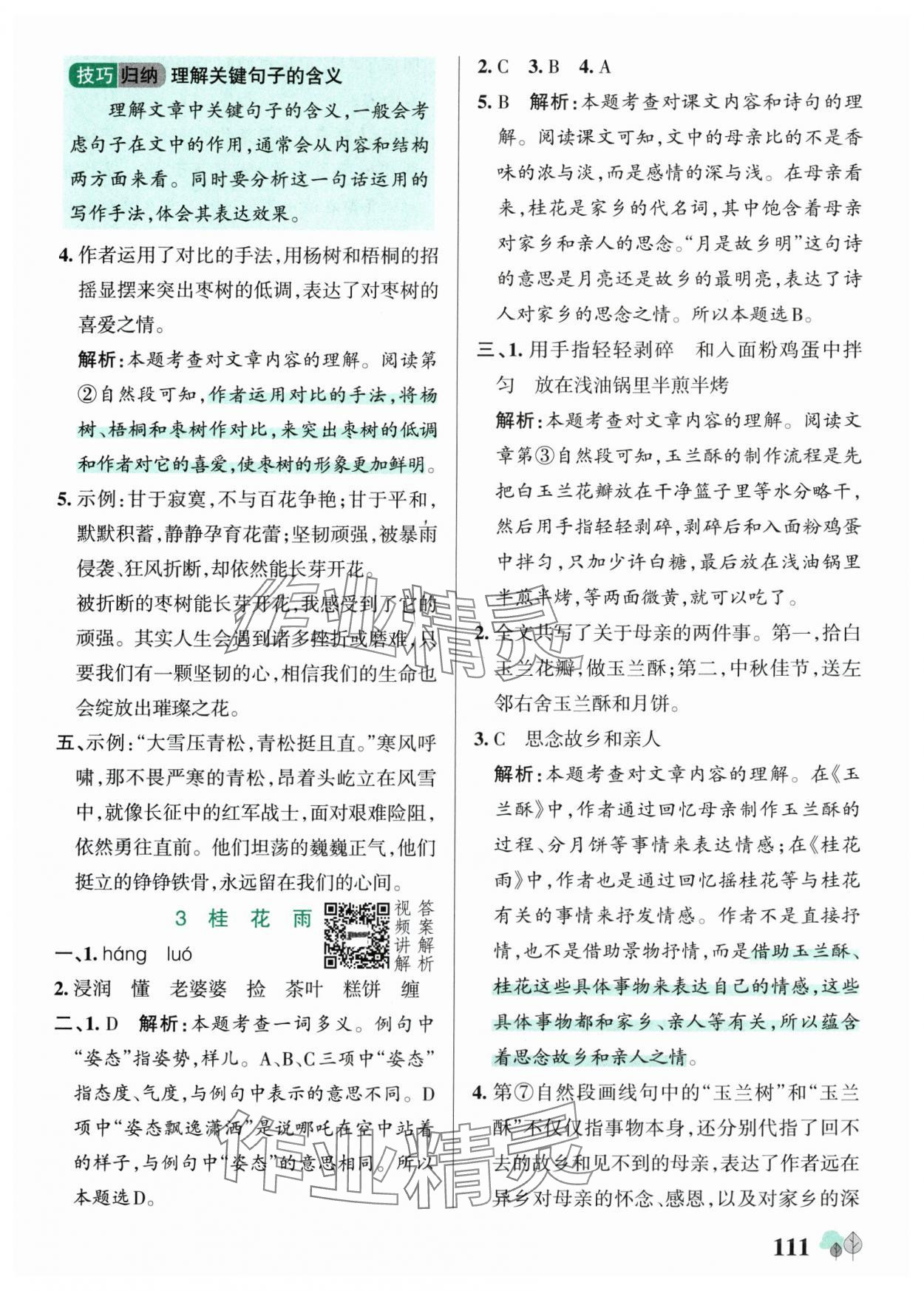 2025年绿卡提优特训五年级语文上册人教版江苏专版&nbsp;第3页