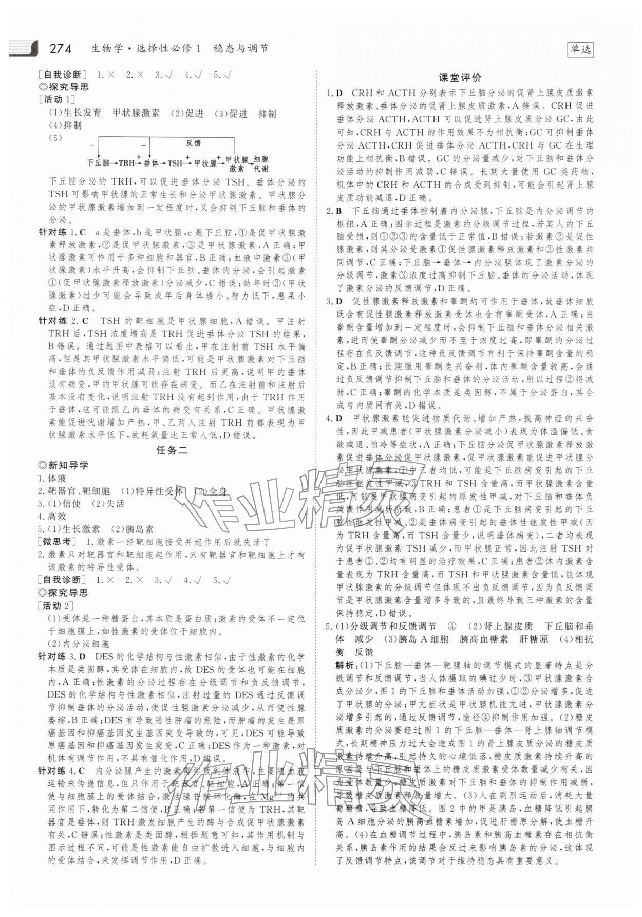 2025年金版新学案高中生物选择性必修第一册人教版 参考答案第13页