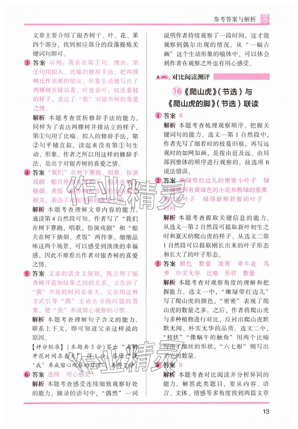2024年木頭馬閱讀力測評四年級語文上冊人教版江蘇專版 第13頁
