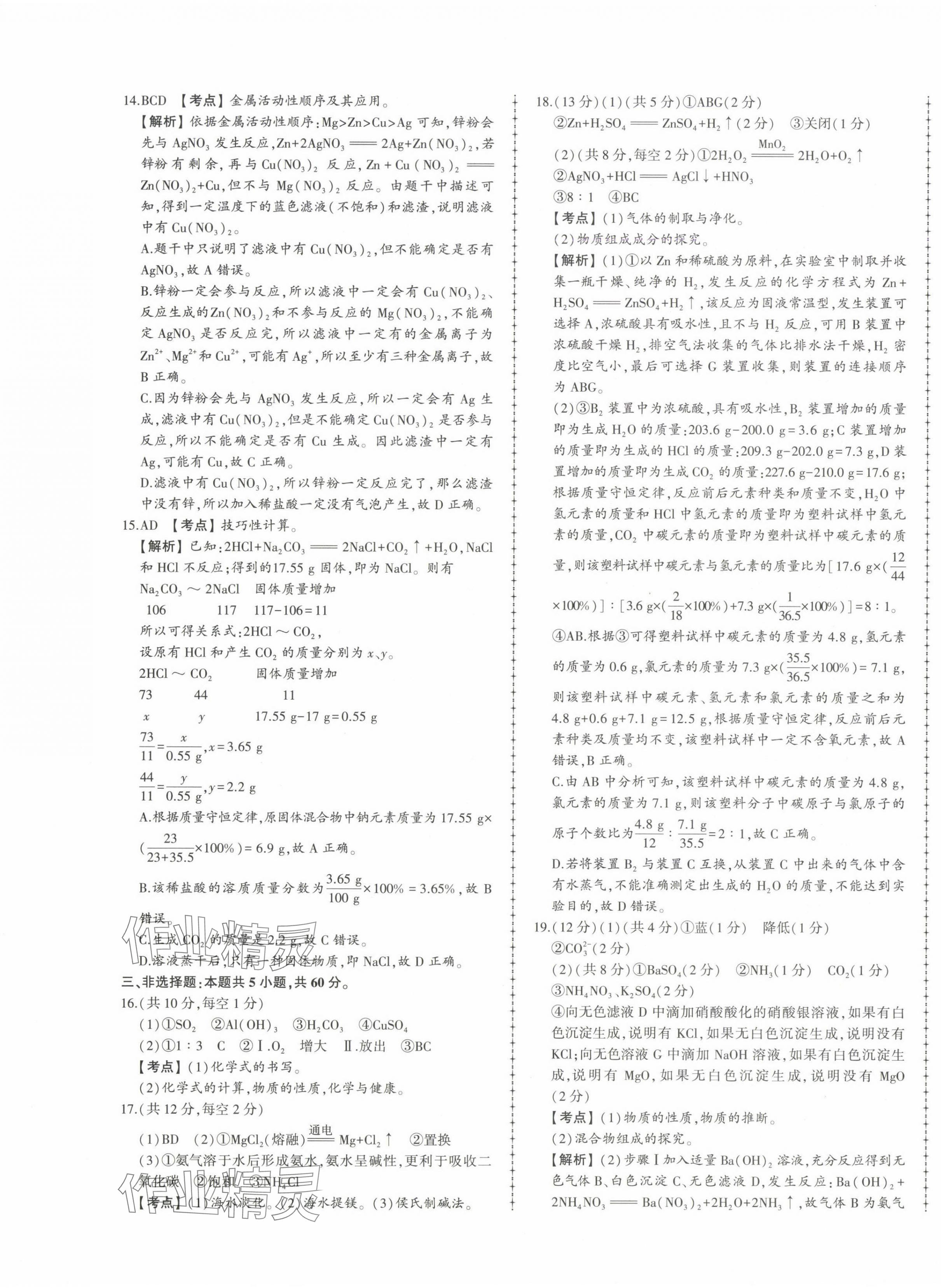 2025年中考114化學(xué)濟(jì)南專版 第9頁