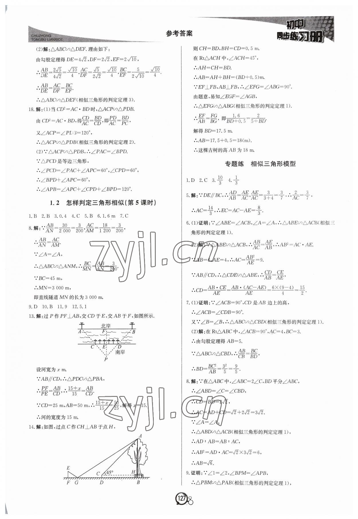 2023年初中同步练习册九年级数学上册青岛版北京教育出版社 第3页