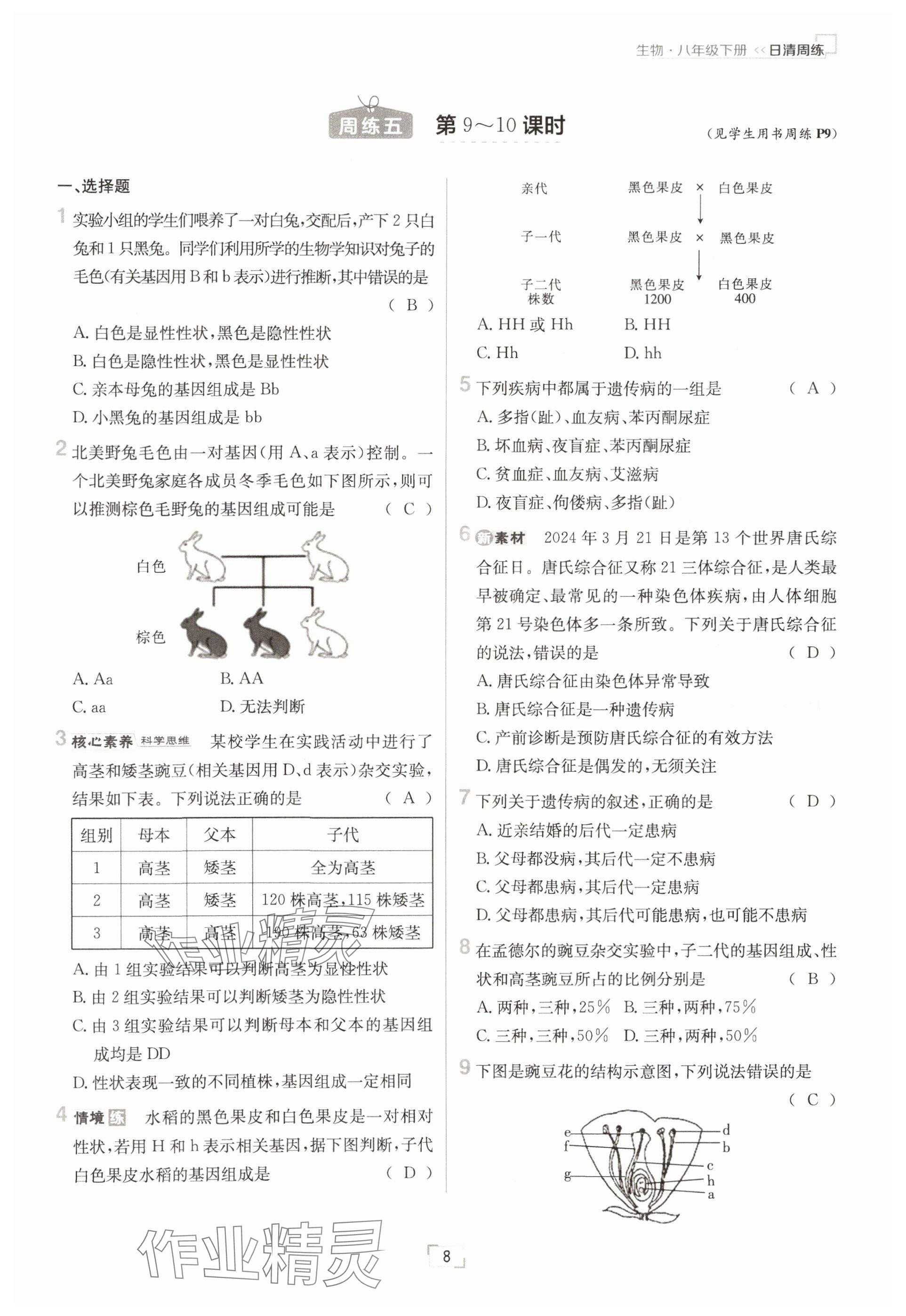 2025年日清周练八年级生物下册人教版&nbsp;参考答案第8页