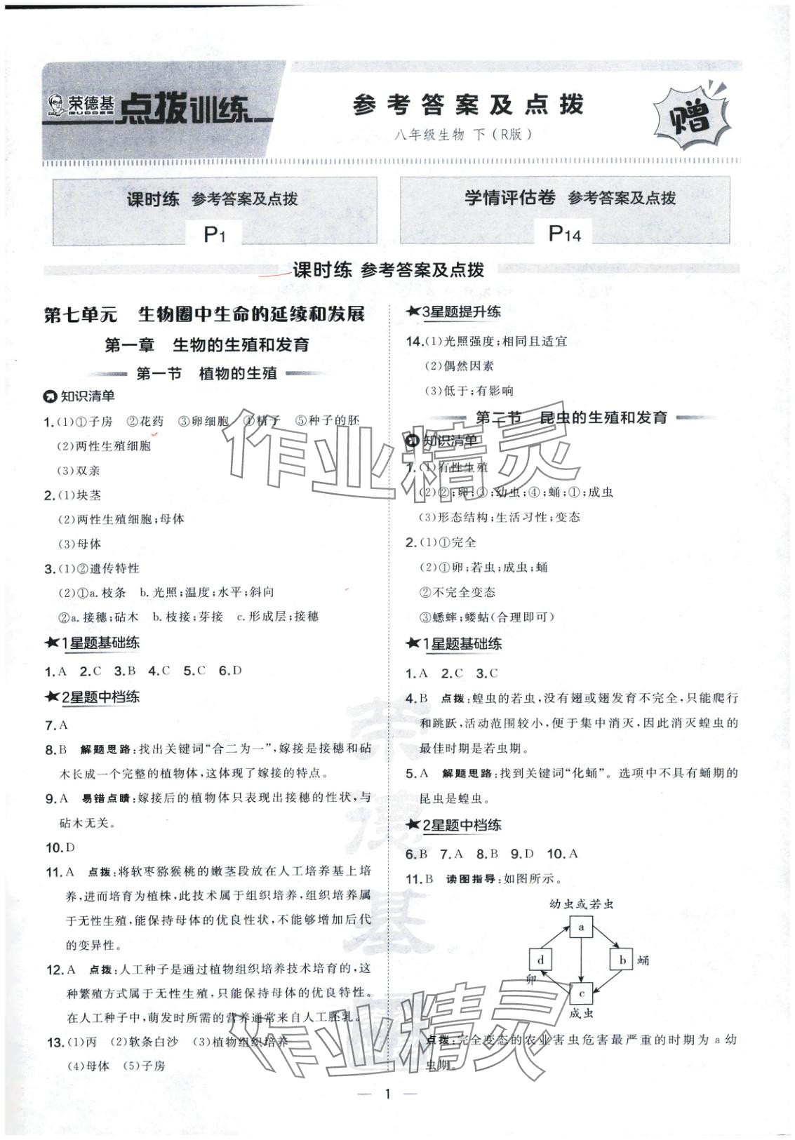 2025年點撥訓練八年級生物下冊人教版 第1頁