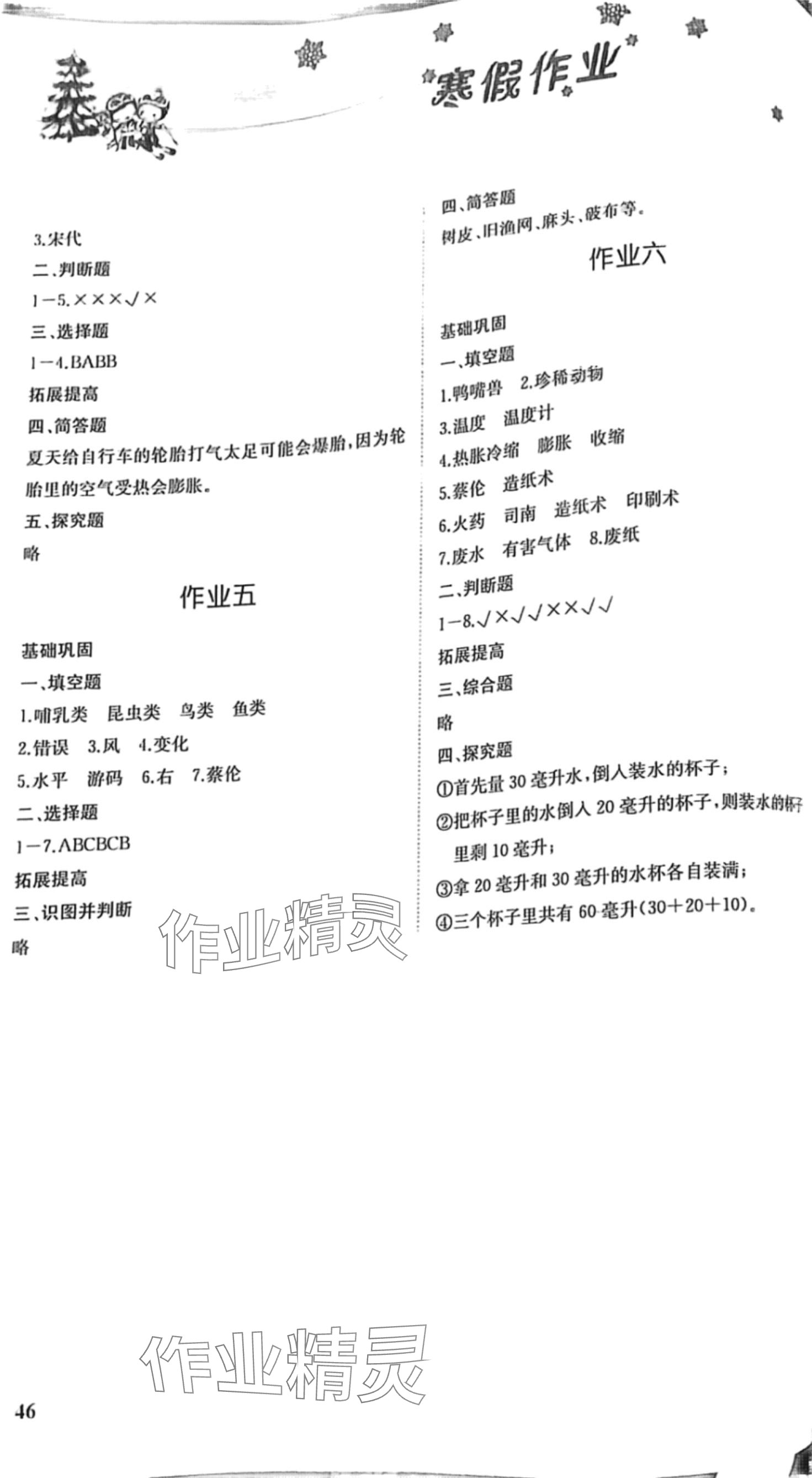 2024年湘教学苑寒假作业湖南教育出版社三年级综合 第2页