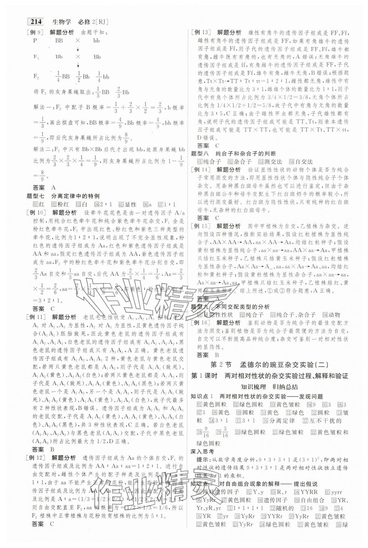 2024年金版教程高中新课程创新导学案高中生物必修2人教版 参考答案第3页