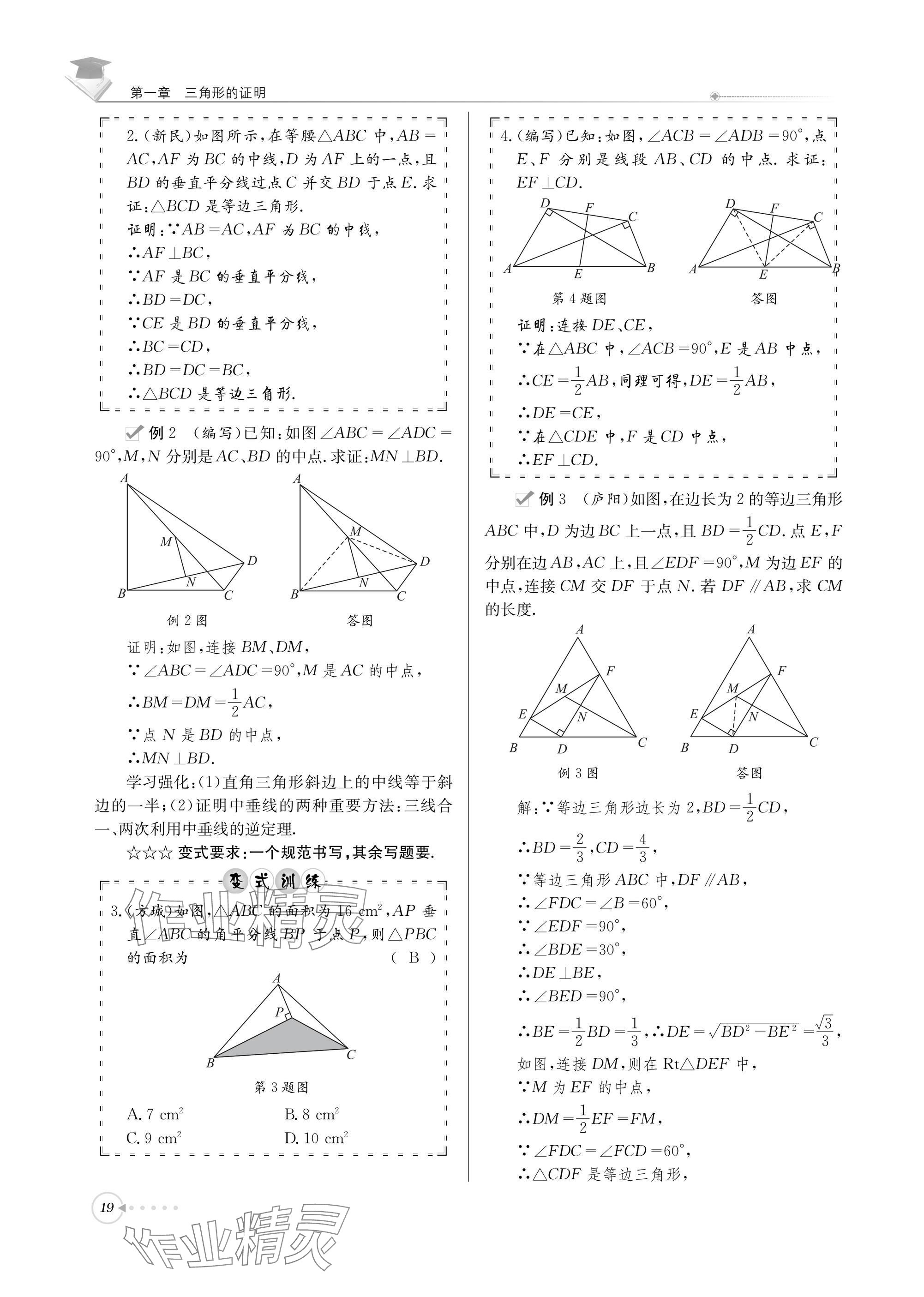 2025年初中数学每日核心导学八年级下册北师大版 参考答案第19页