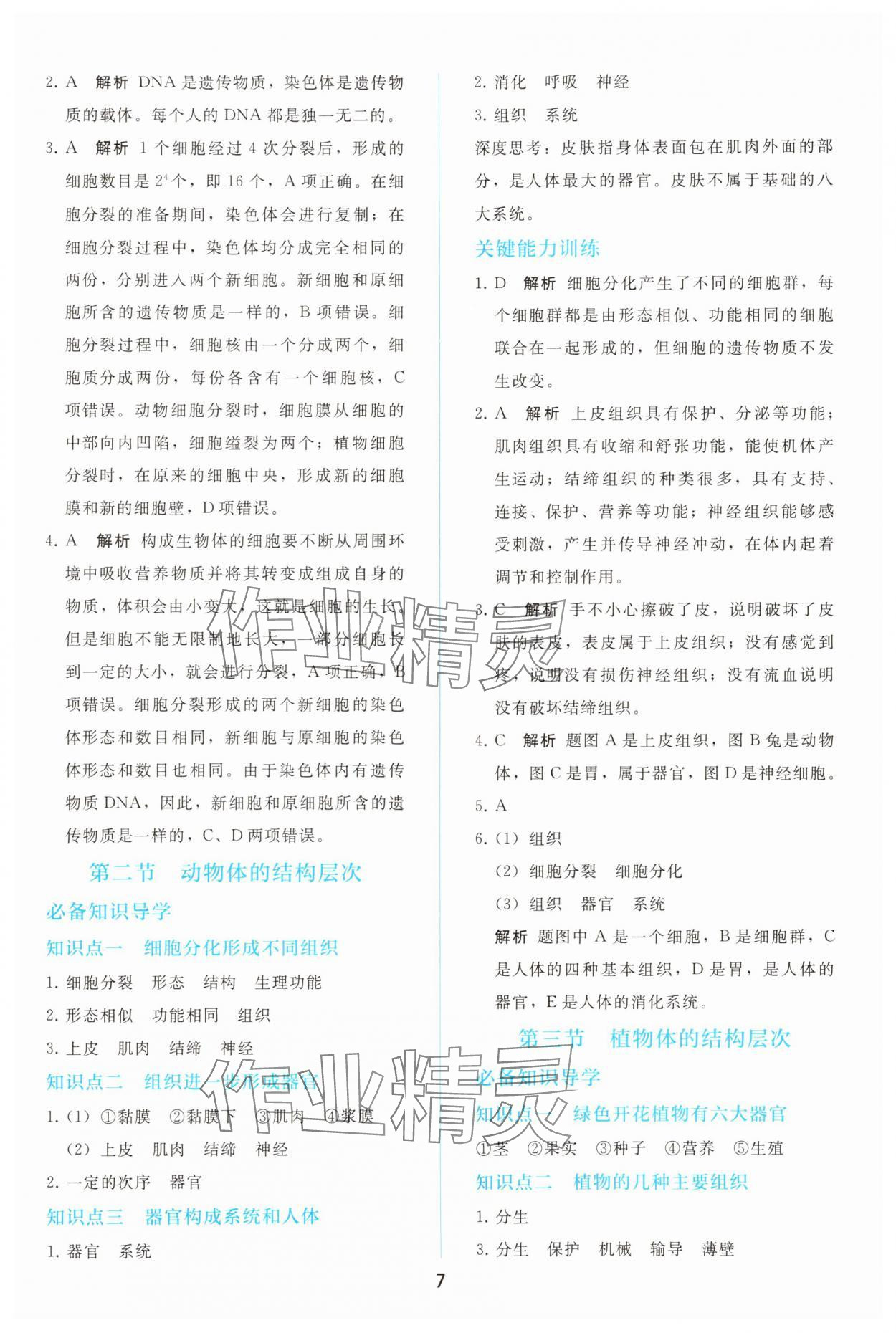 2025年同步轻松练习七年级生物上册人教版 参考答案第6页