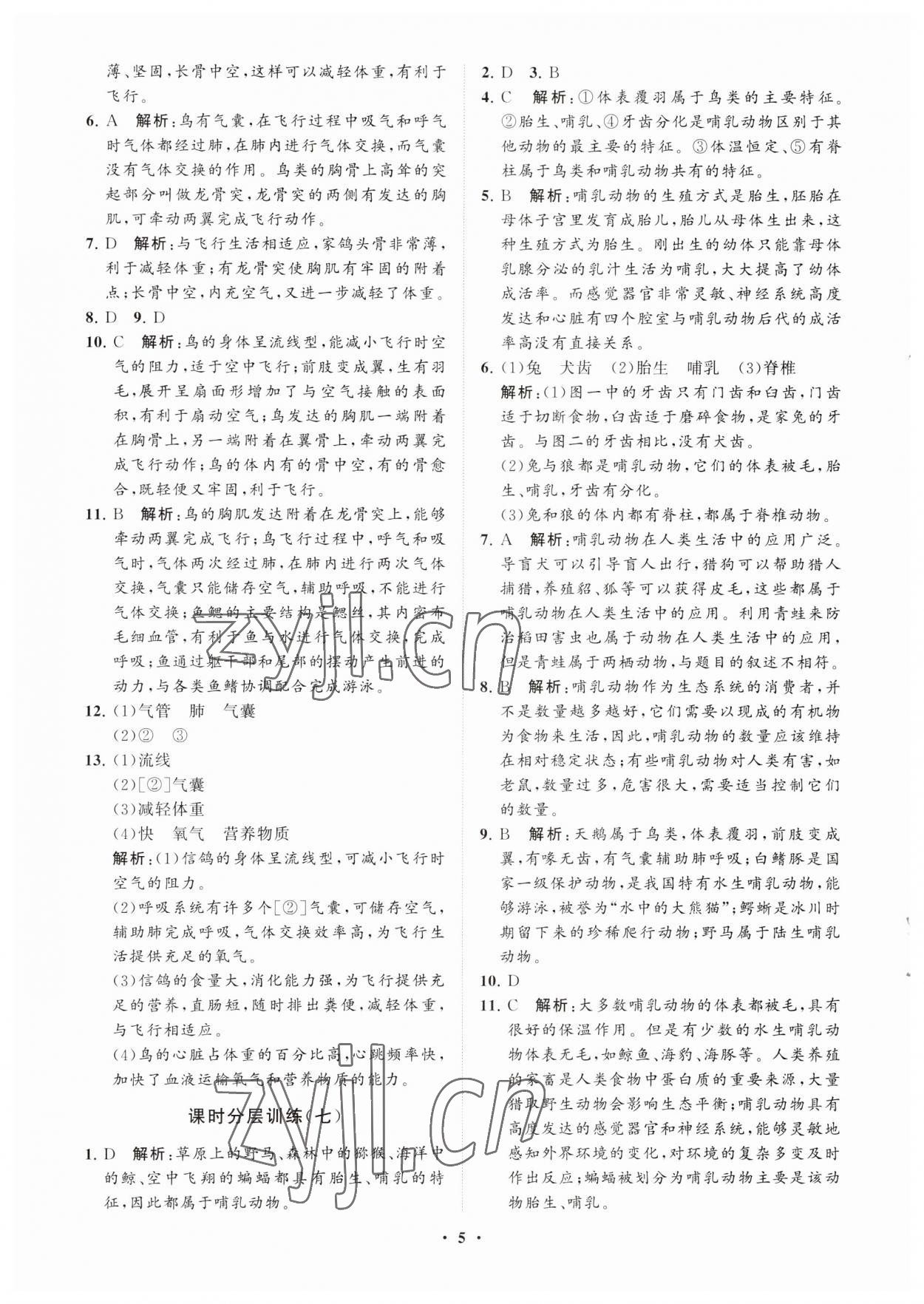 2023年初中同步练习册分层卷八年级生物学上册鲁科版五四制 参考答案第5页