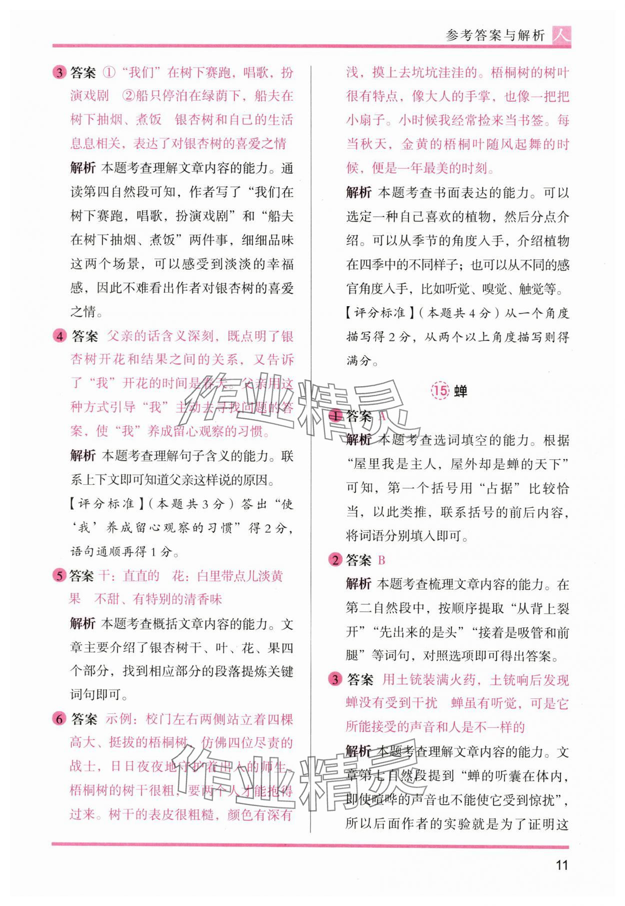 2024年木頭馬閱讀力測評四年級語文上冊人教版 參考答案第11頁