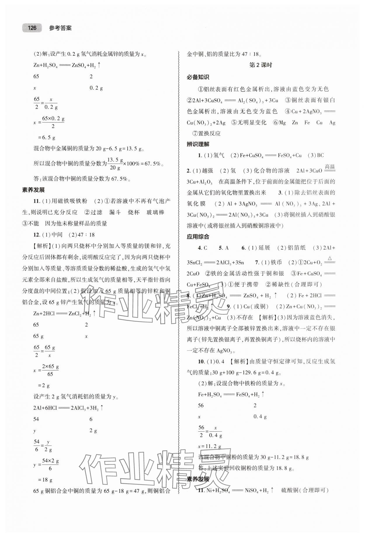 2025年同步练习册大象出版社九年级化学下册人教版 第2页