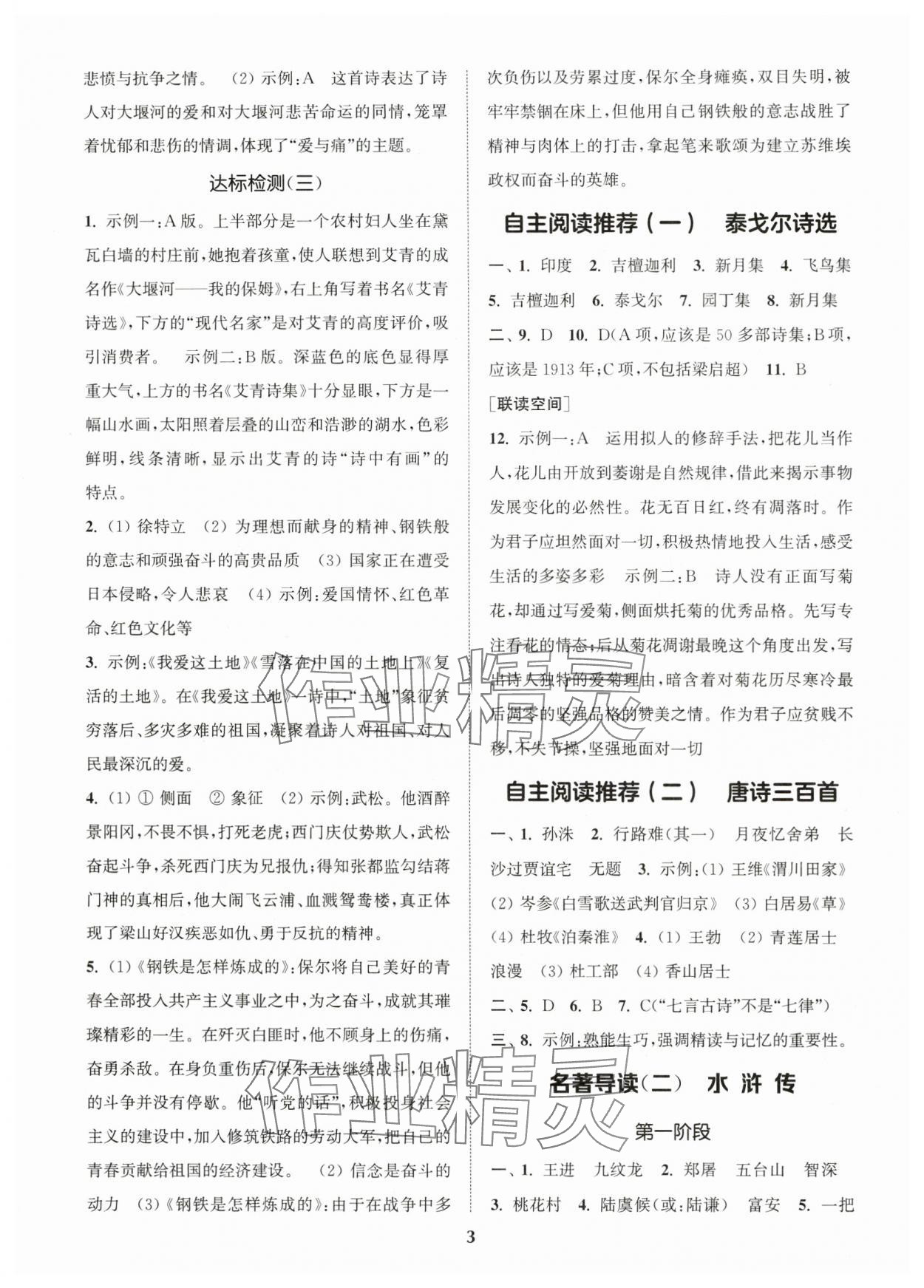 2024年初中名著三維導(dǎo)學(xué)九年級語文全一冊人教版 第3頁