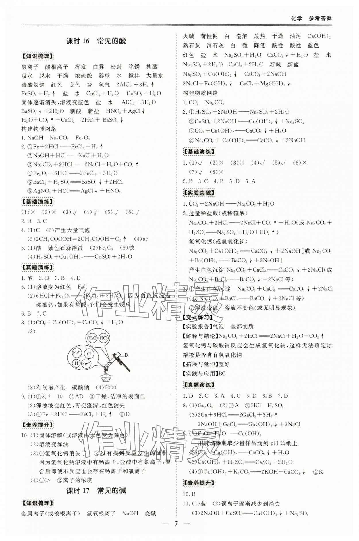 2025年中考宝典化学广东专用版 参考答案第7页