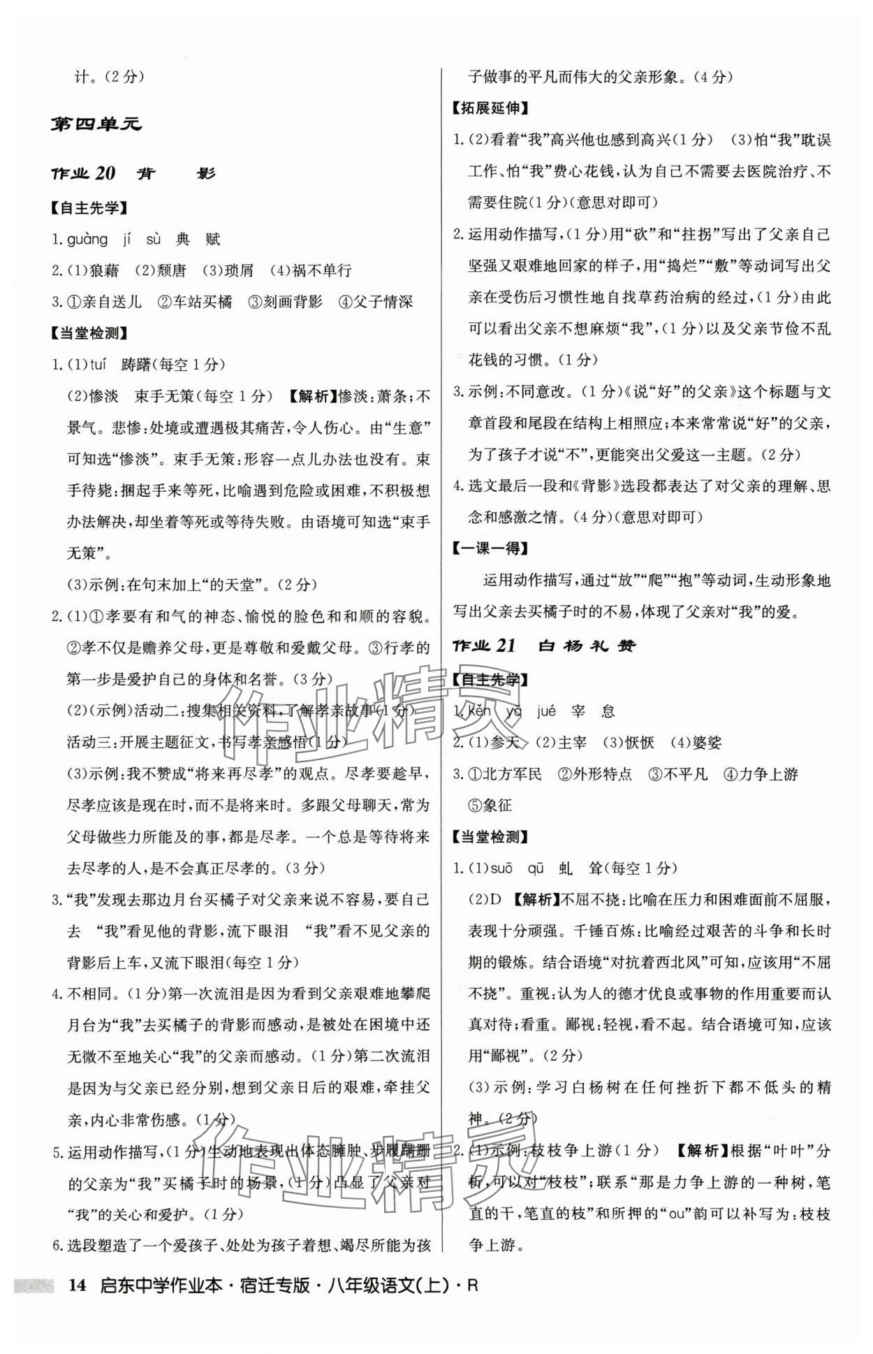 2024年啟東中學(xué)作業(yè)本八年級語文上冊人教版宿遷專版 參考答案第14頁