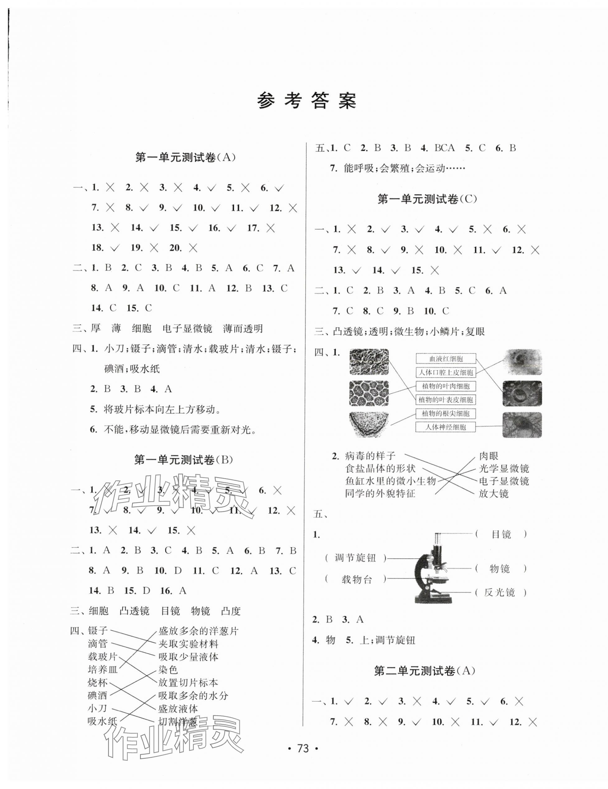 2024年探究科學六年級上冊教科版 第1頁