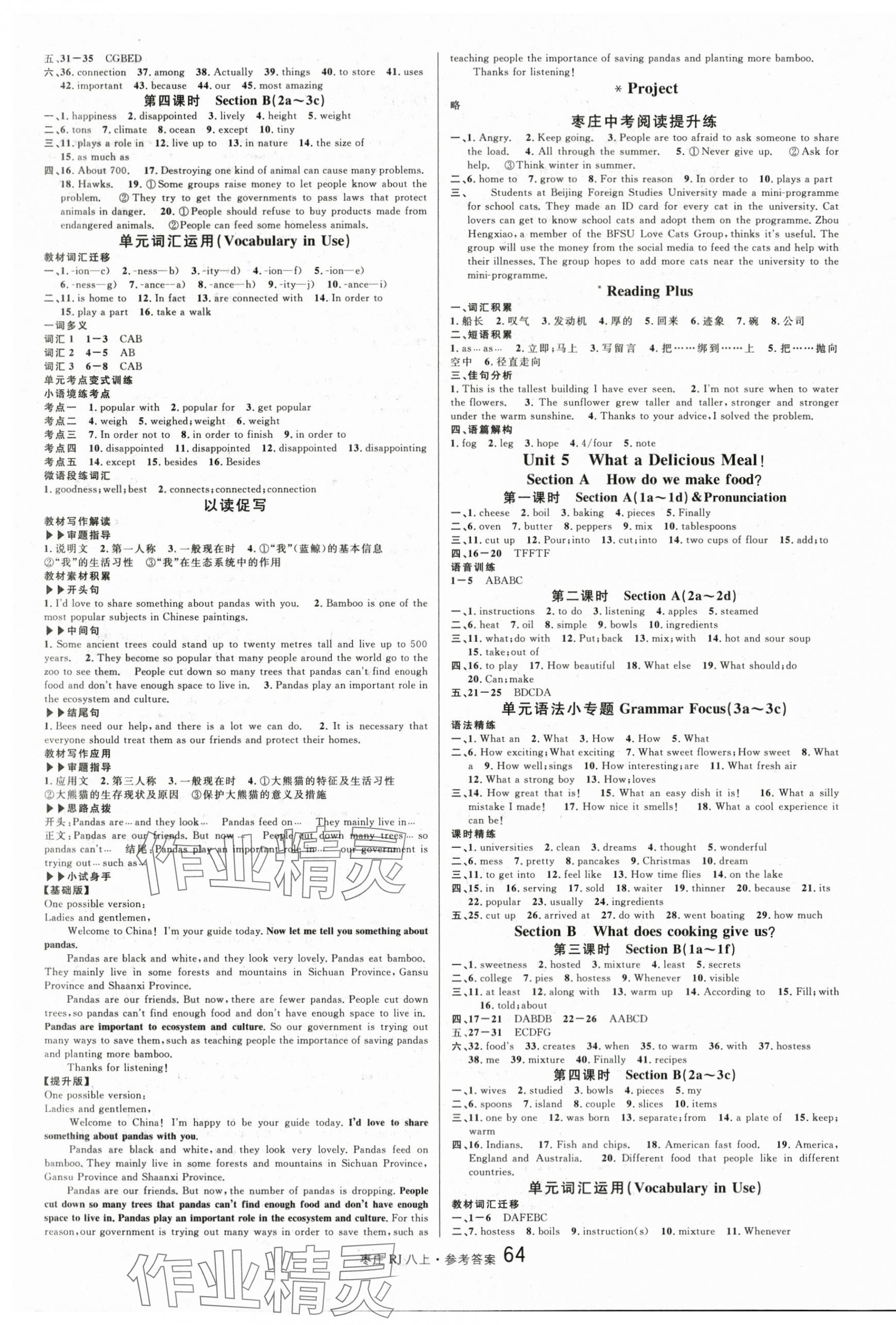 2025年名校课堂八年级英语上册人教版枣庄专版 第4页