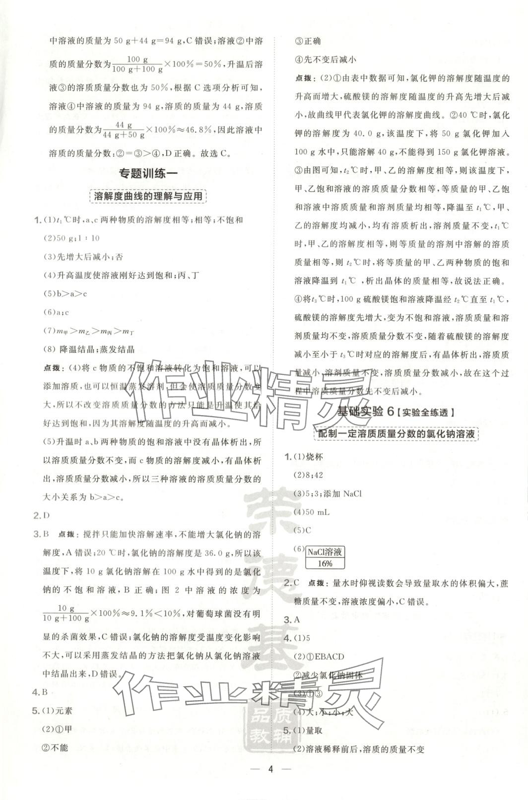 2025年点拨训练九年级化学下册沪教版 第4页