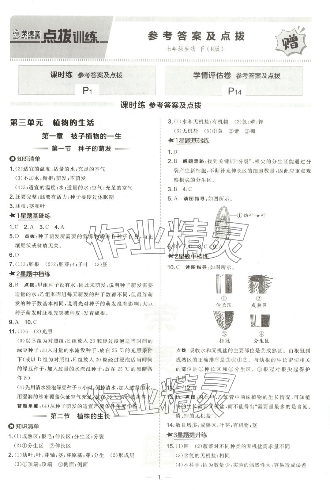 2025年点拨训练七年级生物下册人教版 第1页