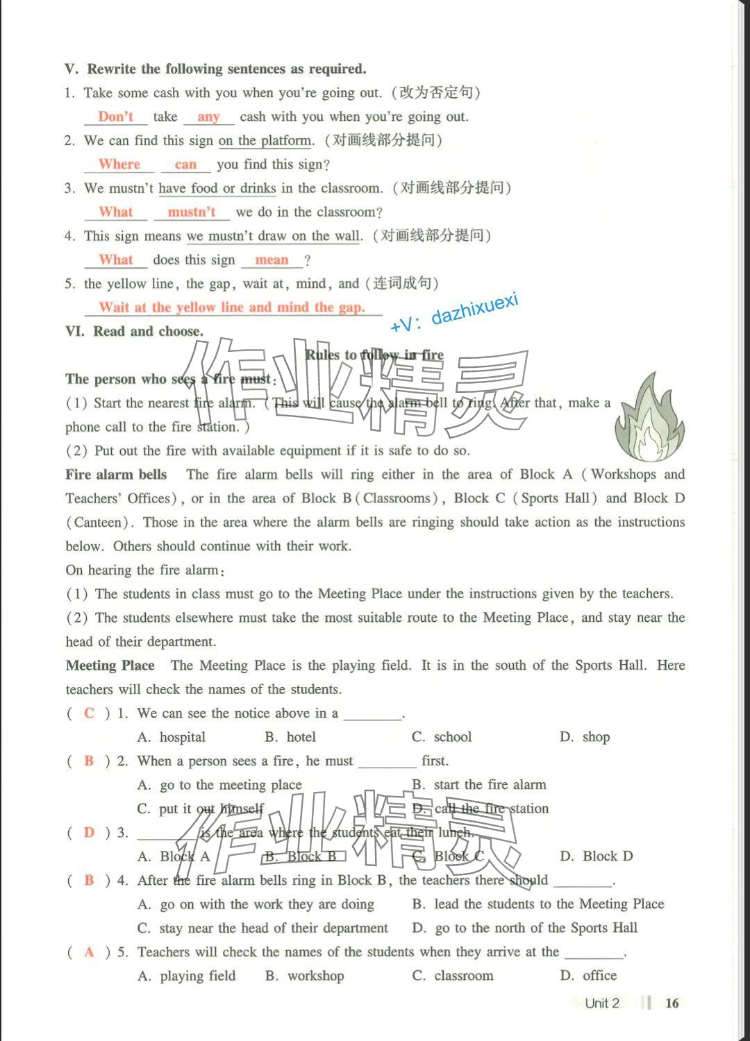 2025年中學生英語同步精練六年級英語下冊滬教版五四制 參考答案第16頁