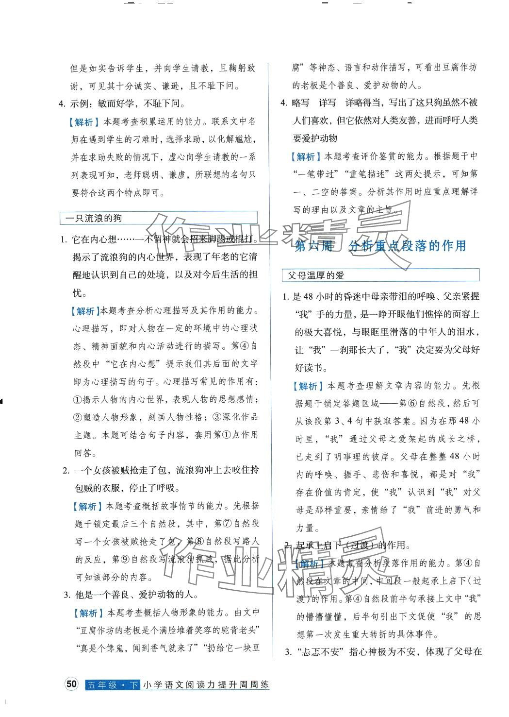 2024年閱讀力提升周周練五年級語文下冊人教版 第11頁