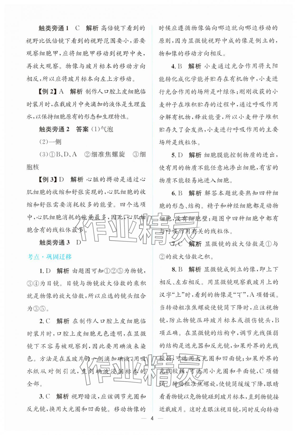 2025年初中總復(fù)習(xí)優(yōu)化設(shè)計生物廣東專版 參考答案第3頁