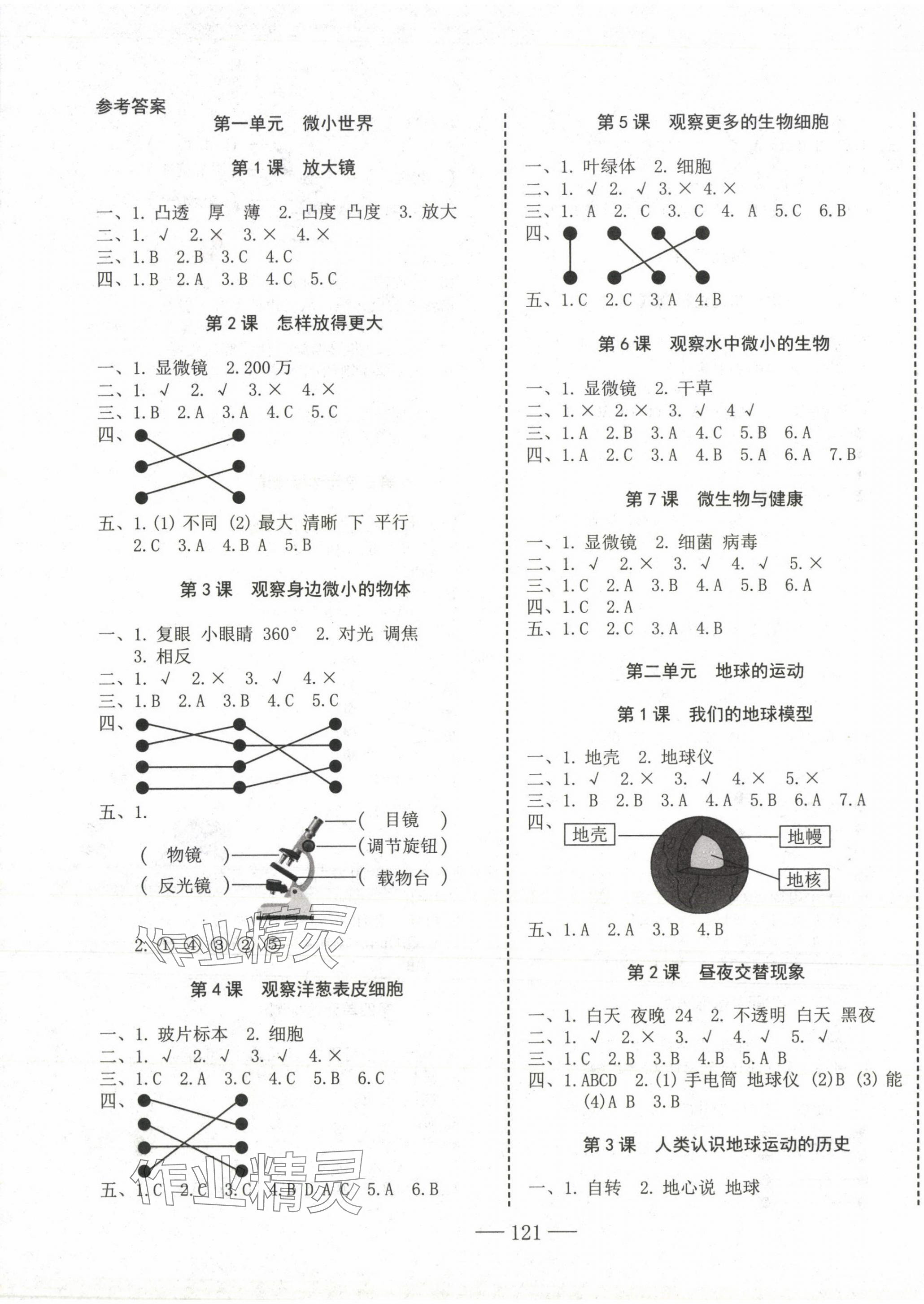 2023年科學(xué)速記大通關(guān)六年級上冊教科版 參考答案第1頁