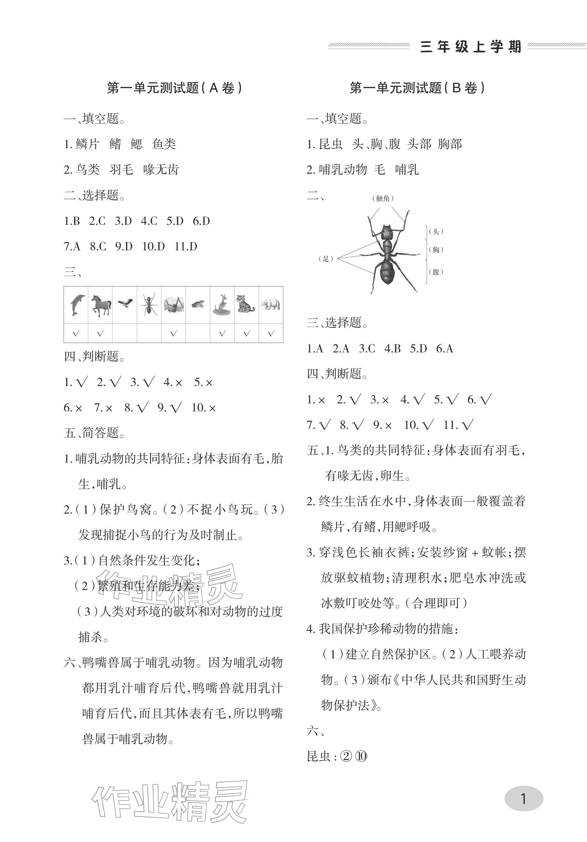 2025年单元自测试卷青岛出版社三年级科学上册青岛版 参考答案第1页