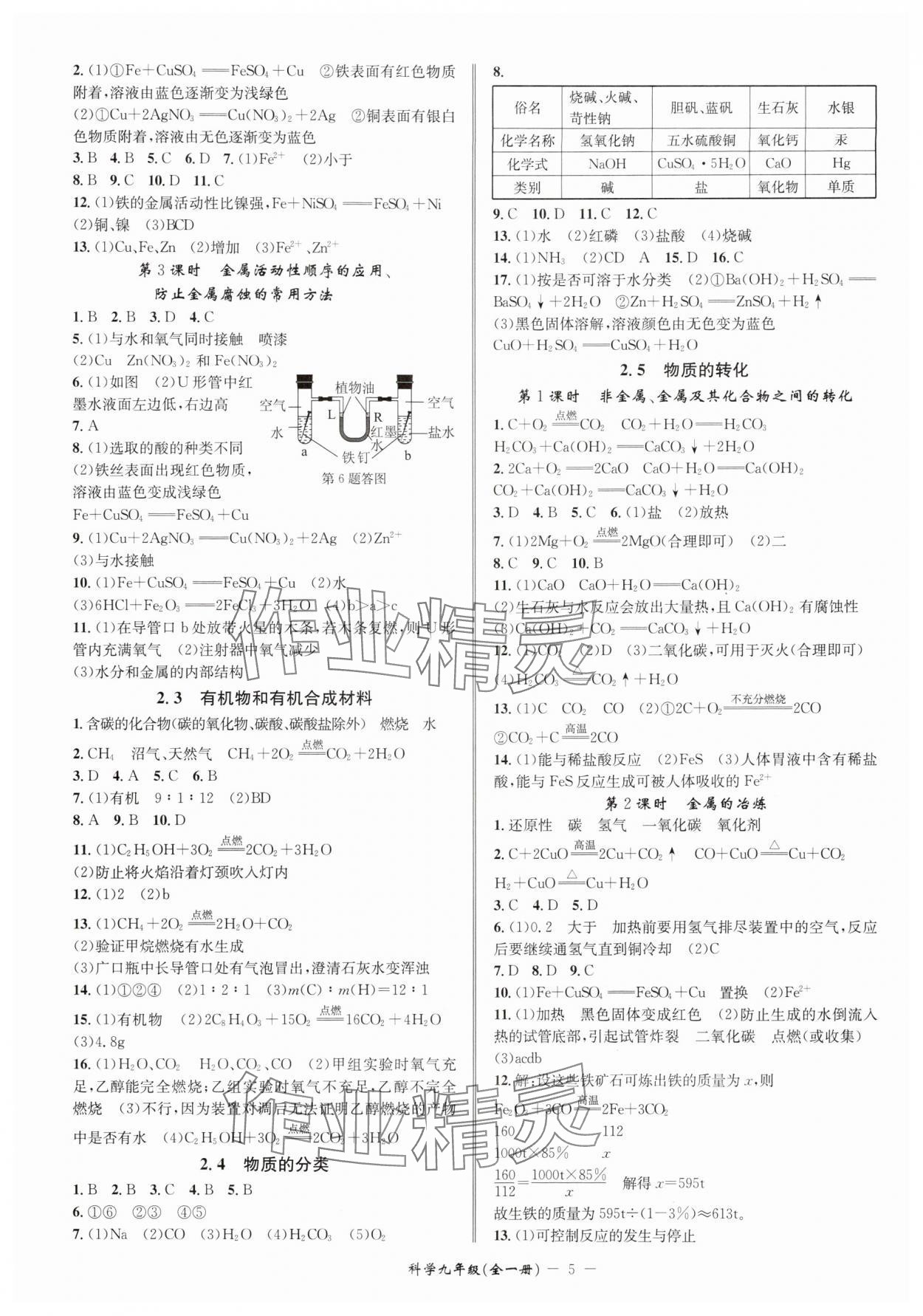 2025年名師金典九年級(jí)科學(xué)全一冊(cè)浙教版 參考答案第5頁(yè)