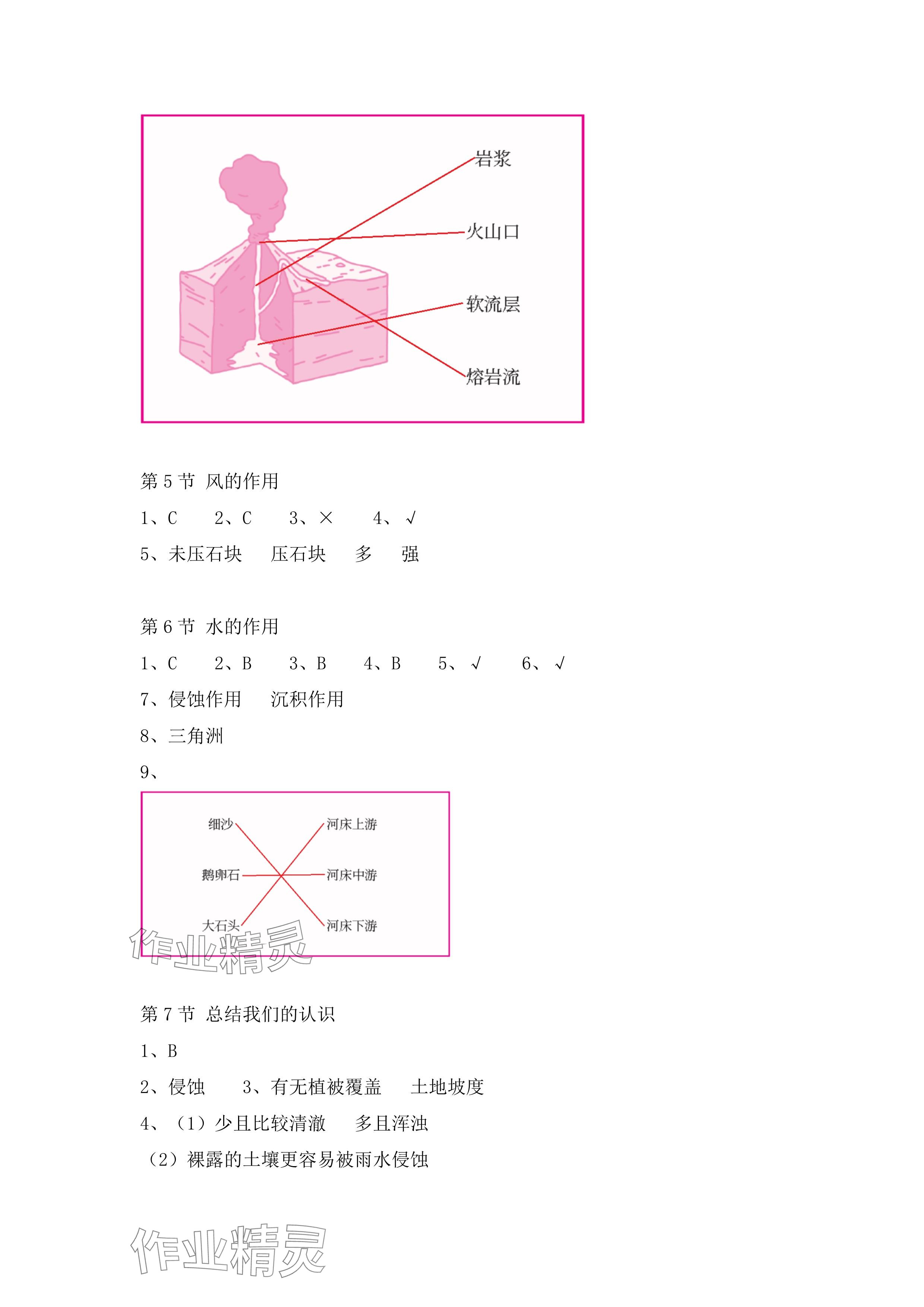 2024年科學課課練五年級上冊教科版 參考答案第5頁