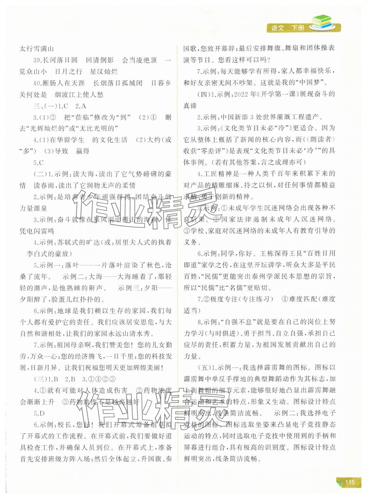 2024年河南省初中学业水平考试解析与检测语文下册 参考答案第2页