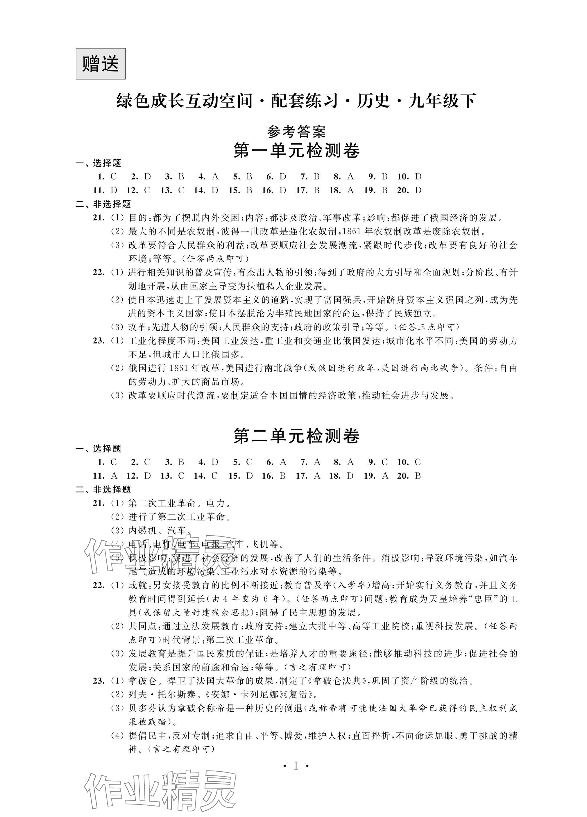 2025年綠色成長互動空間配套練習九年級歷史下冊人教版 參考答案第1頁