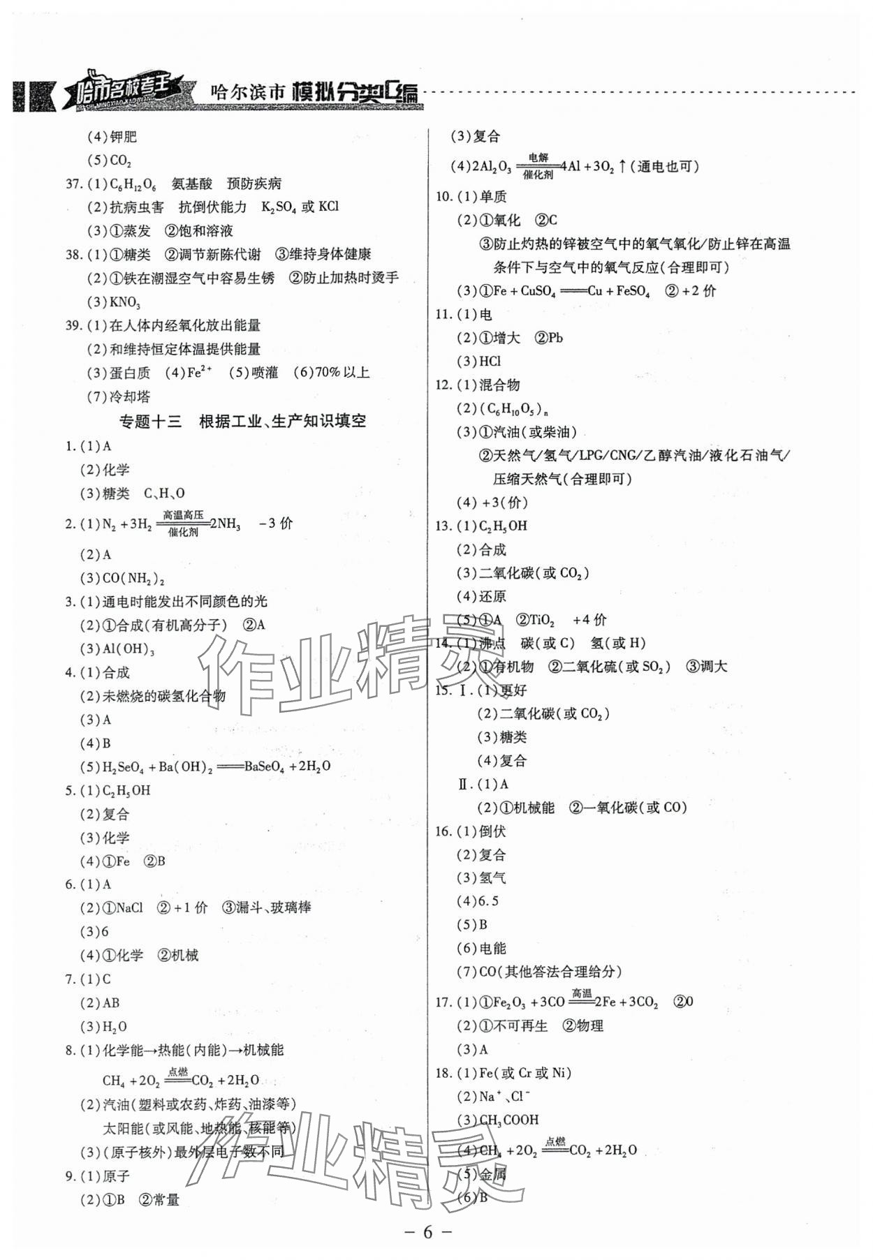 2025年哈市名校考王分類匯編化學(xué)哈爾濱專版 參考答案第6頁