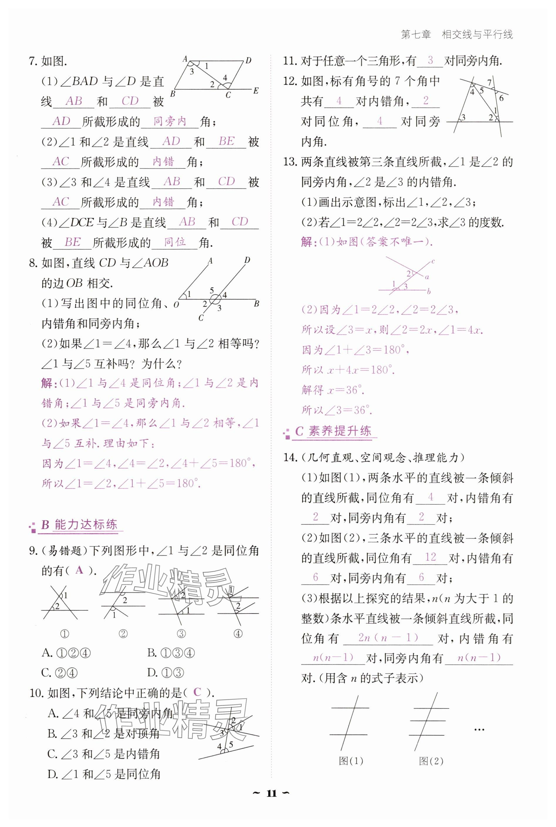 2025年云南省標(biāo)準(zhǔn)教輔優(yōu)佳學(xué)案七年級數(shù)學(xué)下冊人教版 參考答案第11頁