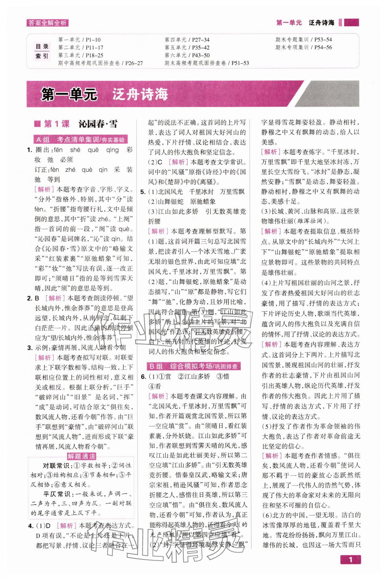 2025年考点集训与满分备考九年级语文全一册上人教版 第1页