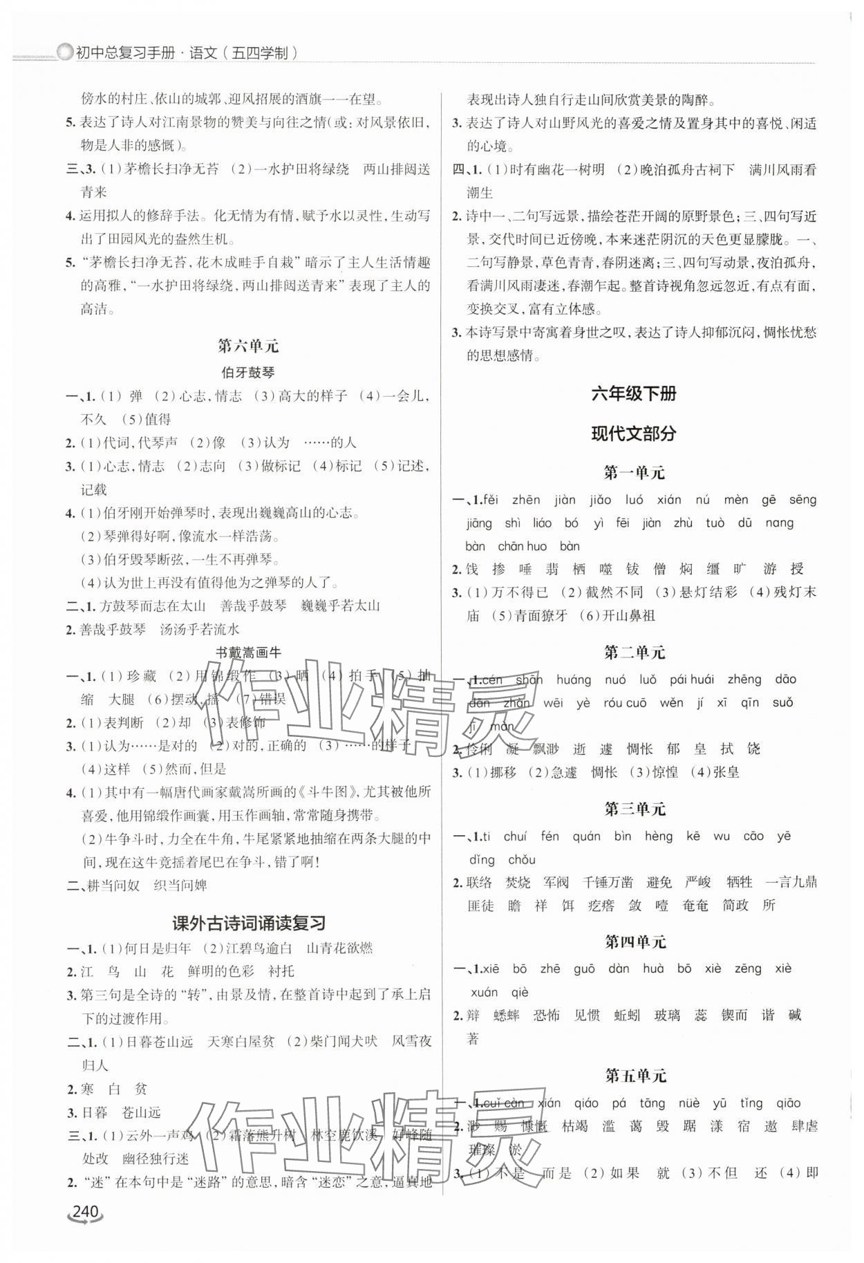 2025年初中总复习手册泰山出版社语文人教版54制 第2页