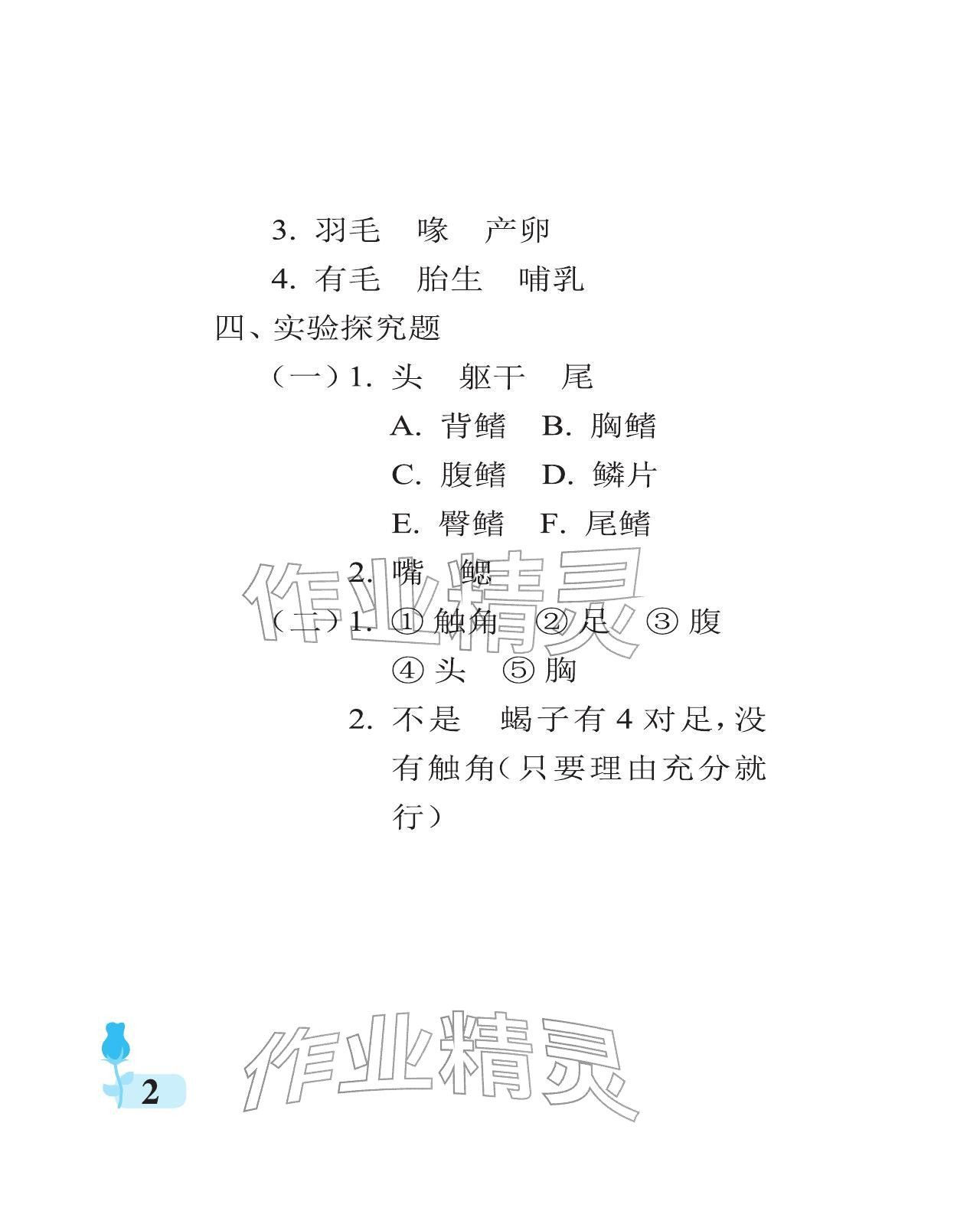 2025年行知天下三年级科学上册青岛版 参考答案第2页