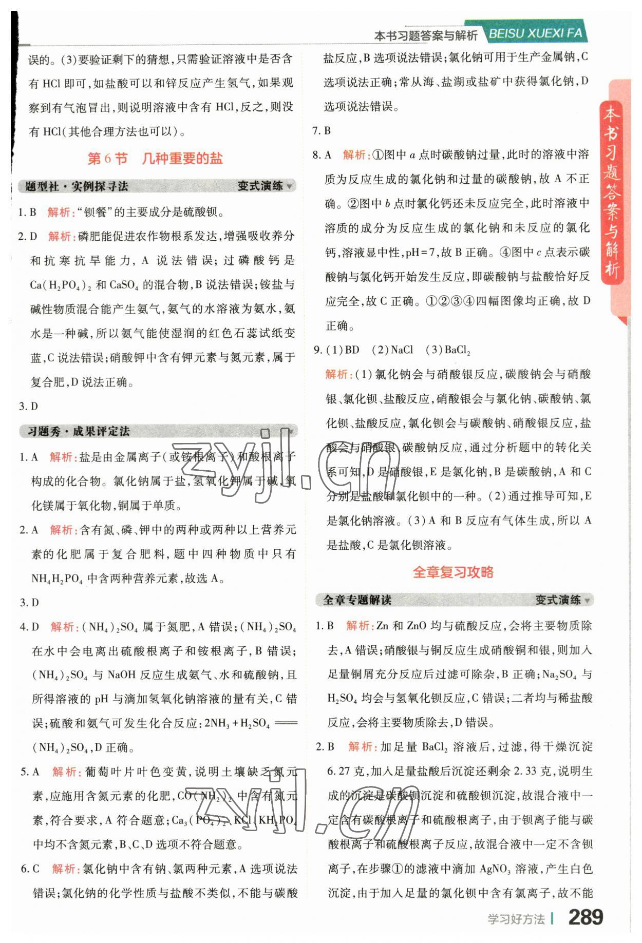 2023年倍速學(xué)習(xí)法九年級科學(xué)上冊浙教版 第5頁