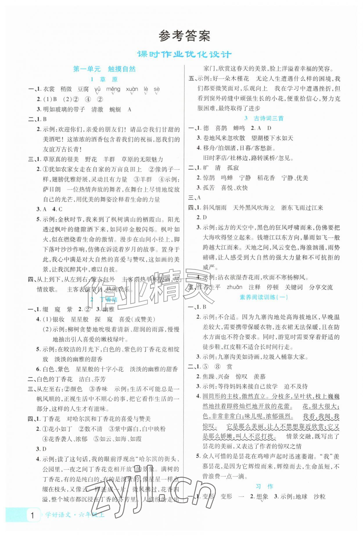 2026年学好语文课时作业优化设计六年级上册人教版&nbsp;参考答案第1页
