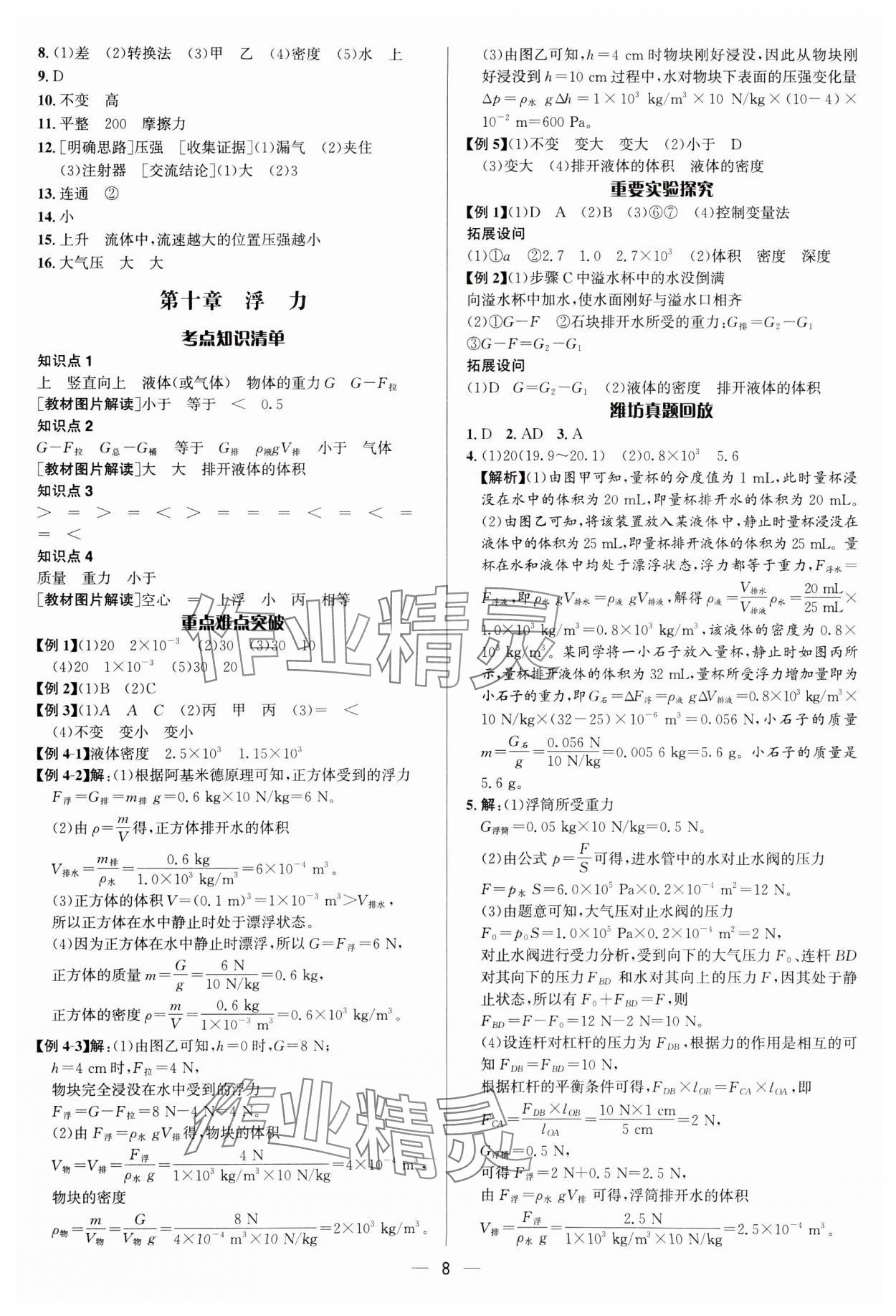 2025年中考對策物理濰坊專版 參考答案第8頁