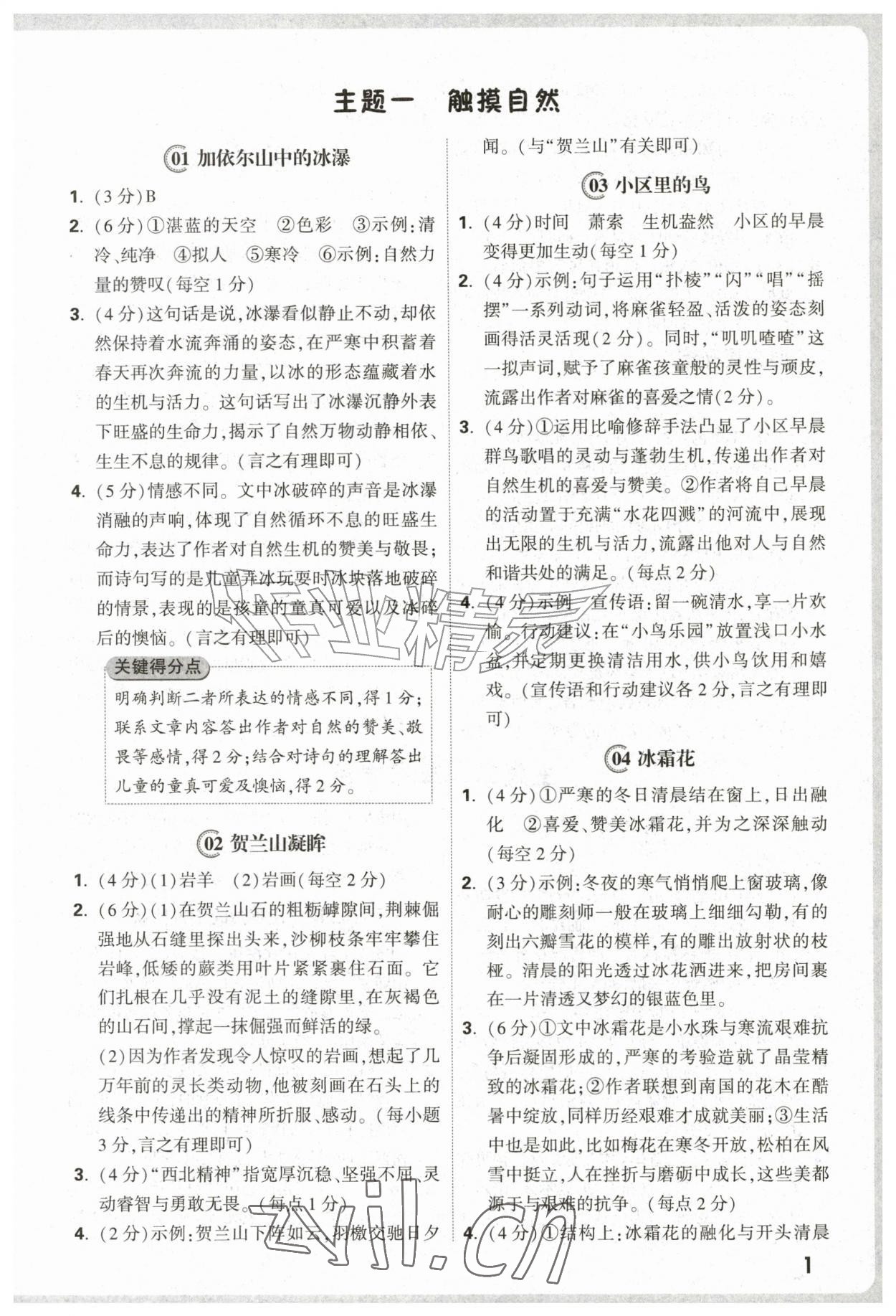 2026年小白鸥名校真题同源时文阅读训练小升初&nbsp;参考答案第1页